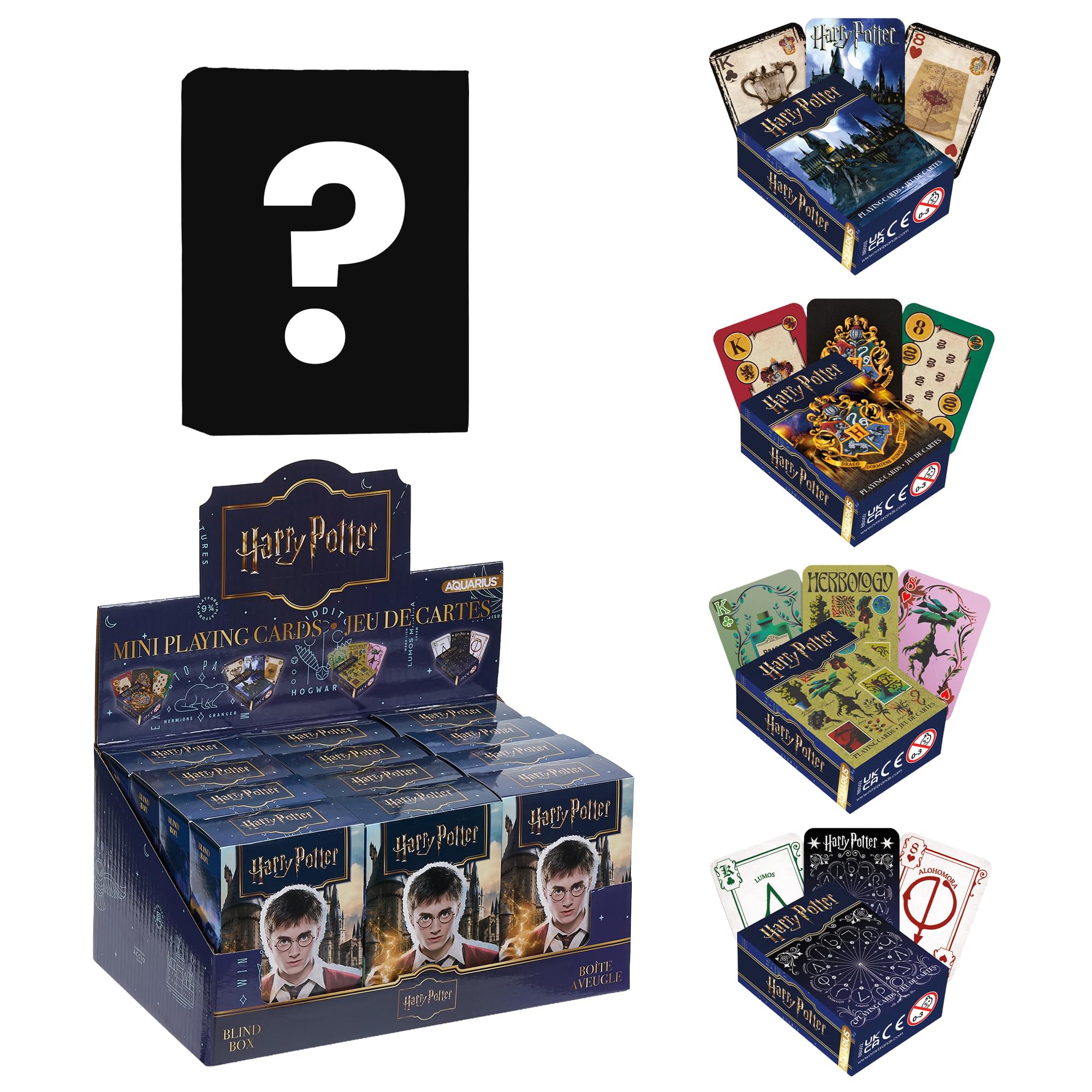 Harry Potter Blind Box Playing Cards | One Random Deck Design