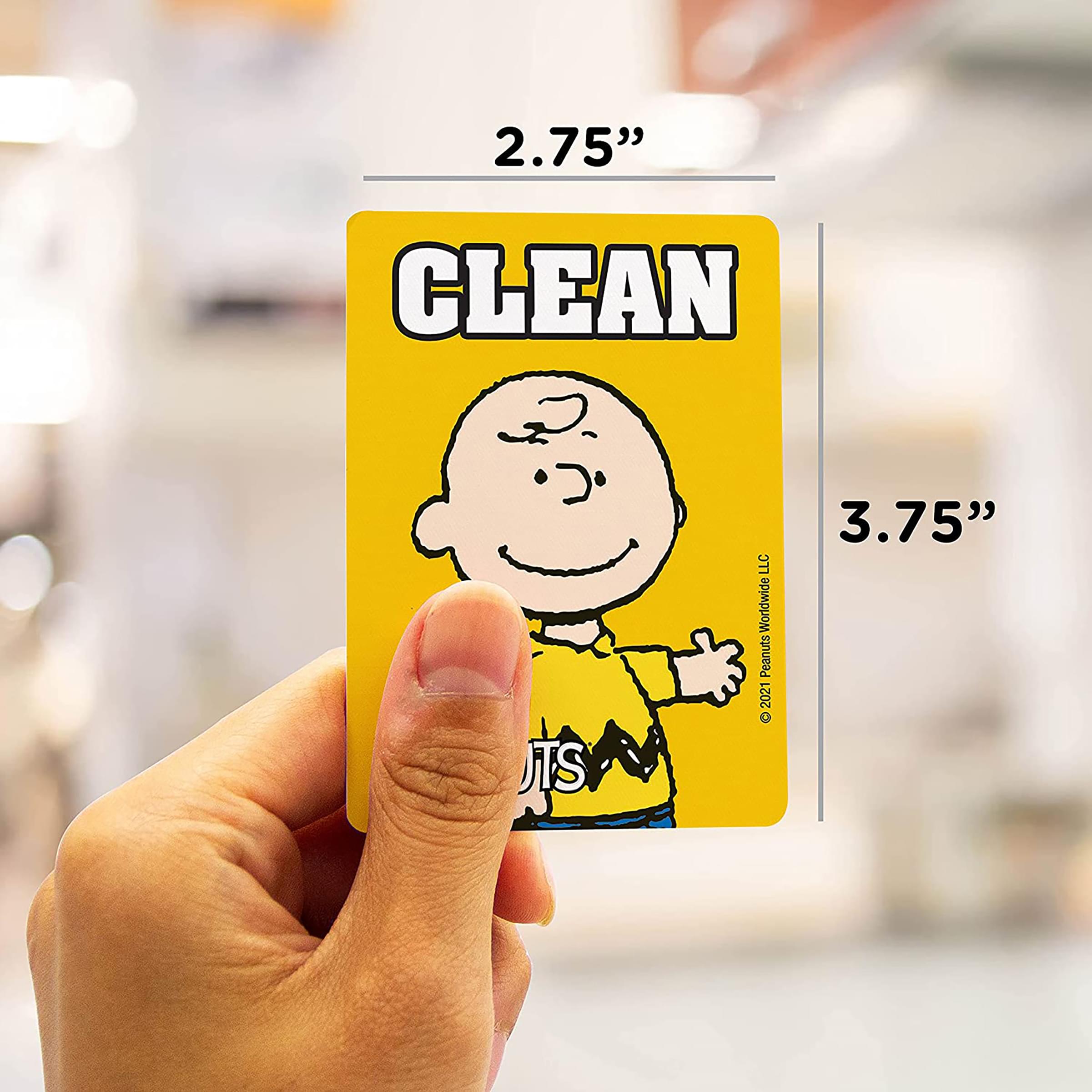 Peanuts Charlie and Pig Pen Double Sided Dishwasher Magnet