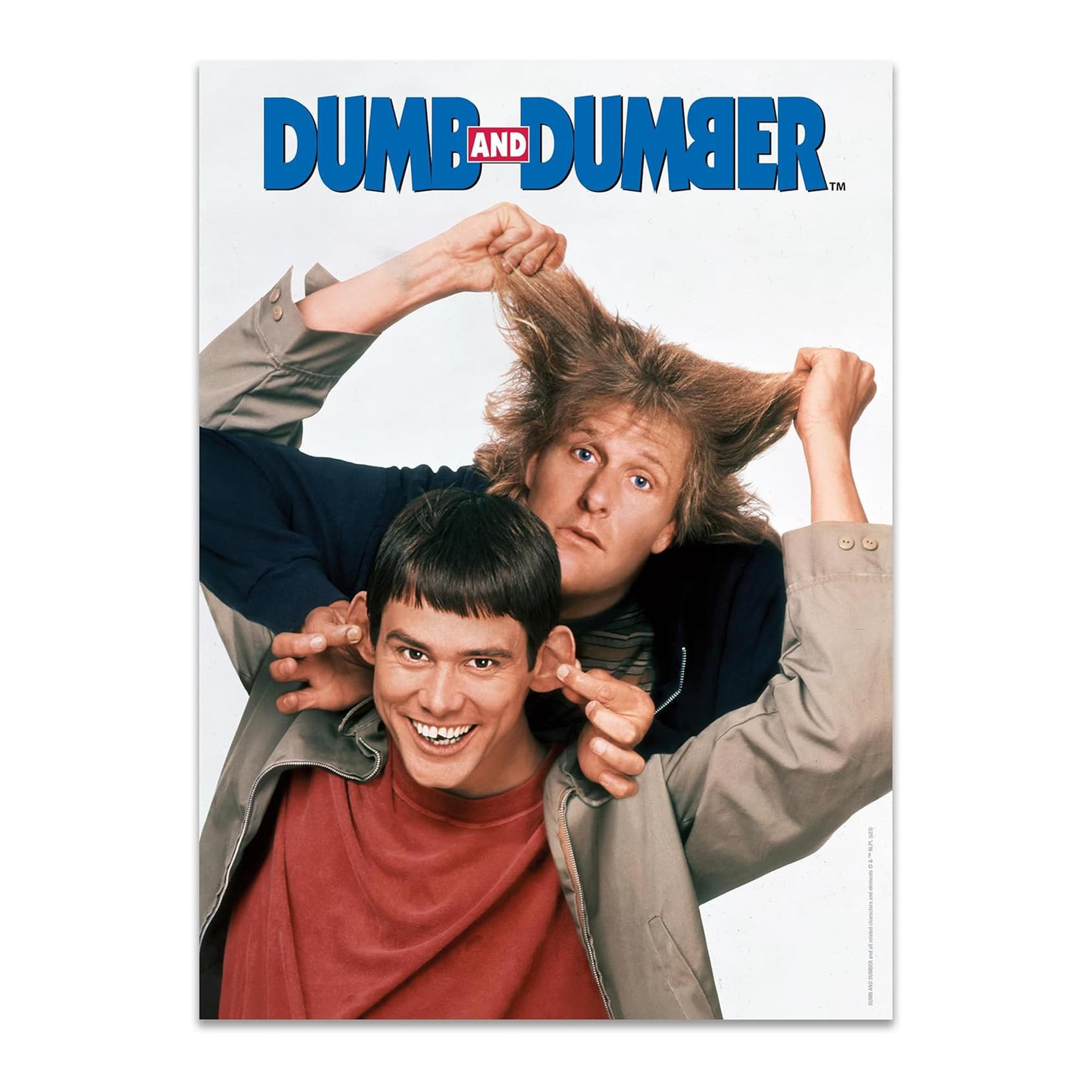 Dumb and Dumber 300 Piece VHS Jigsaw Puzzle