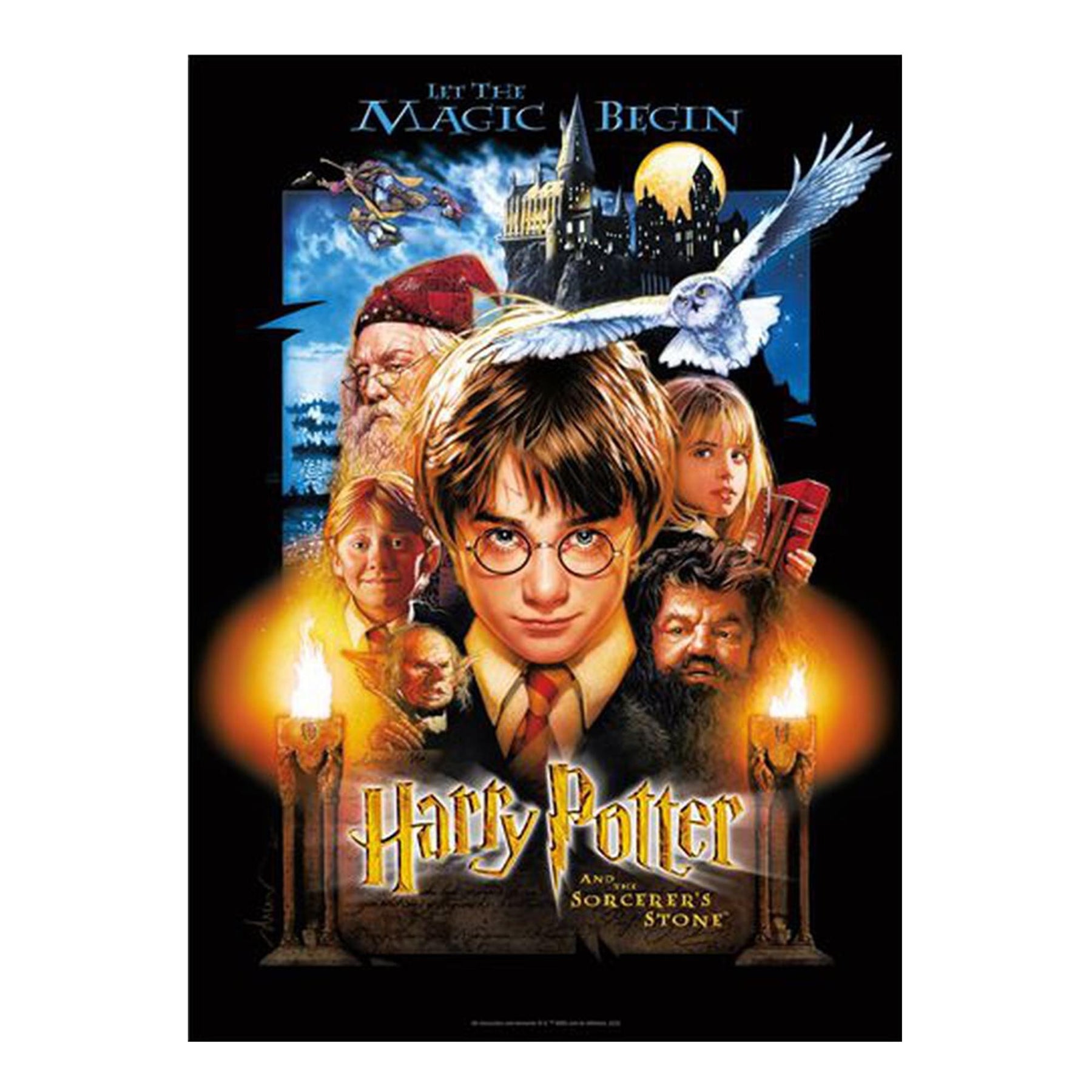 Harry Potter and The Sorcerer's Stone 300 Piece VHS Jigsaw Puzzle