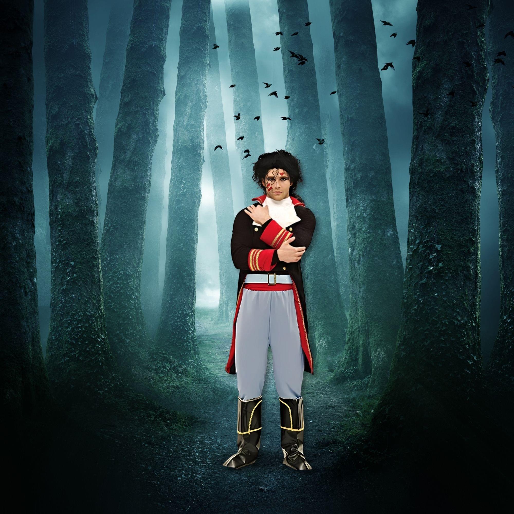 Adam Ant Adult Costume