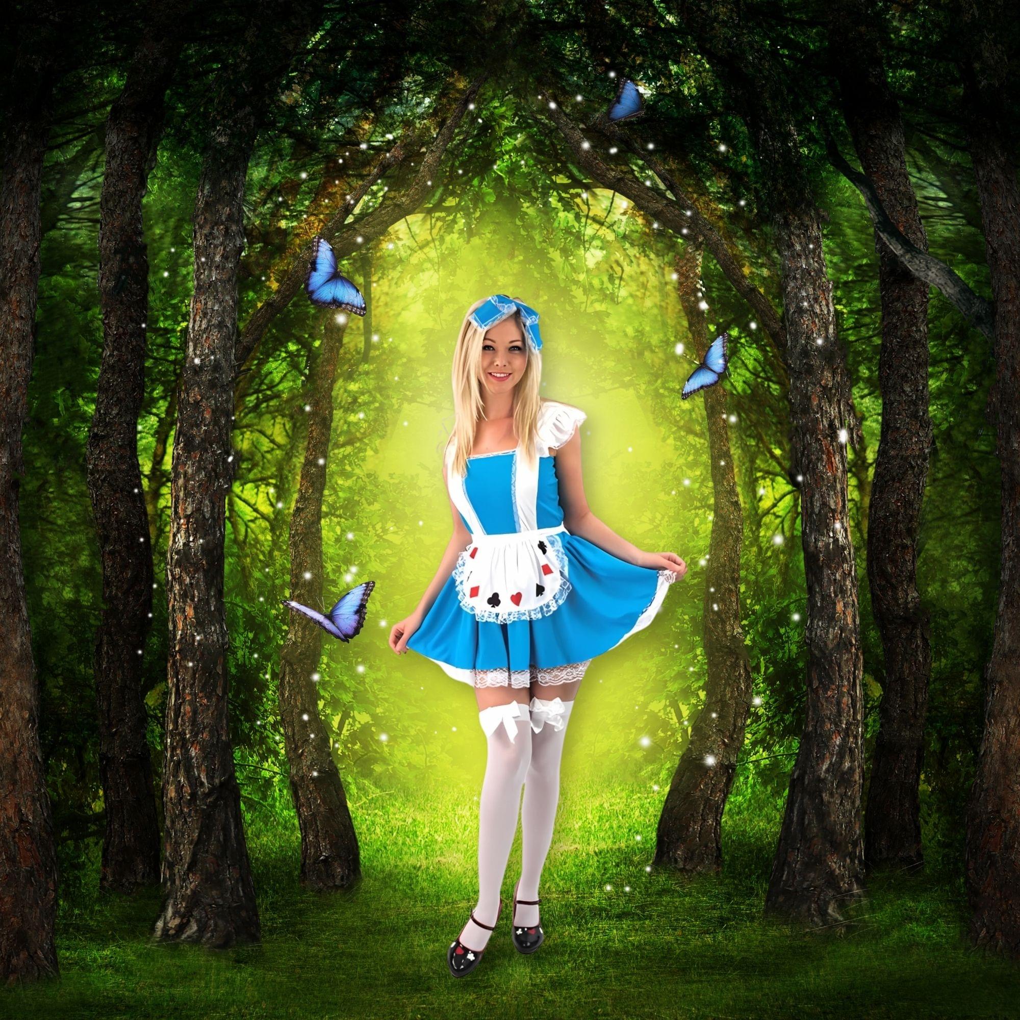 Alice Adult Costume