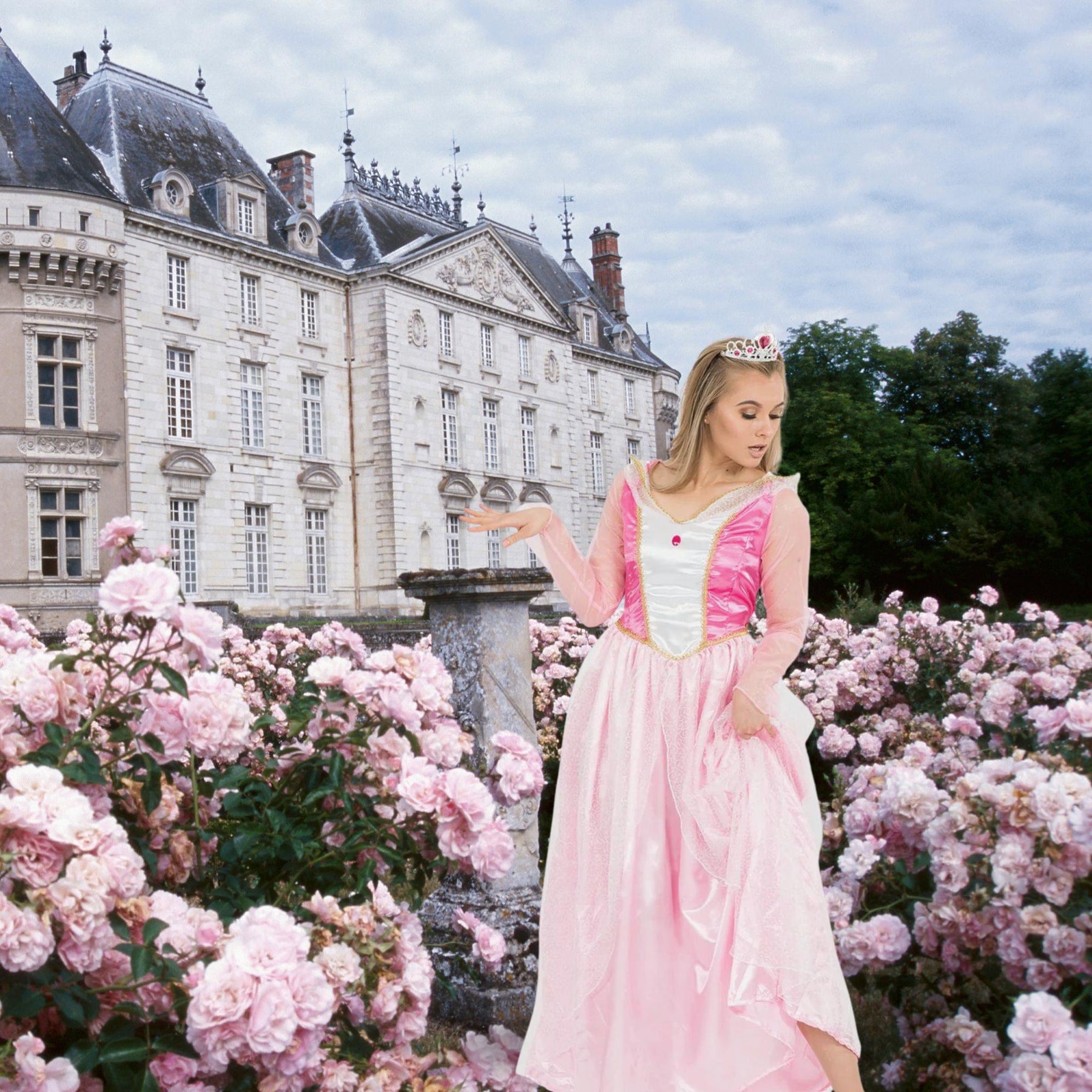 Fairytale Princess Dress Adult Costume