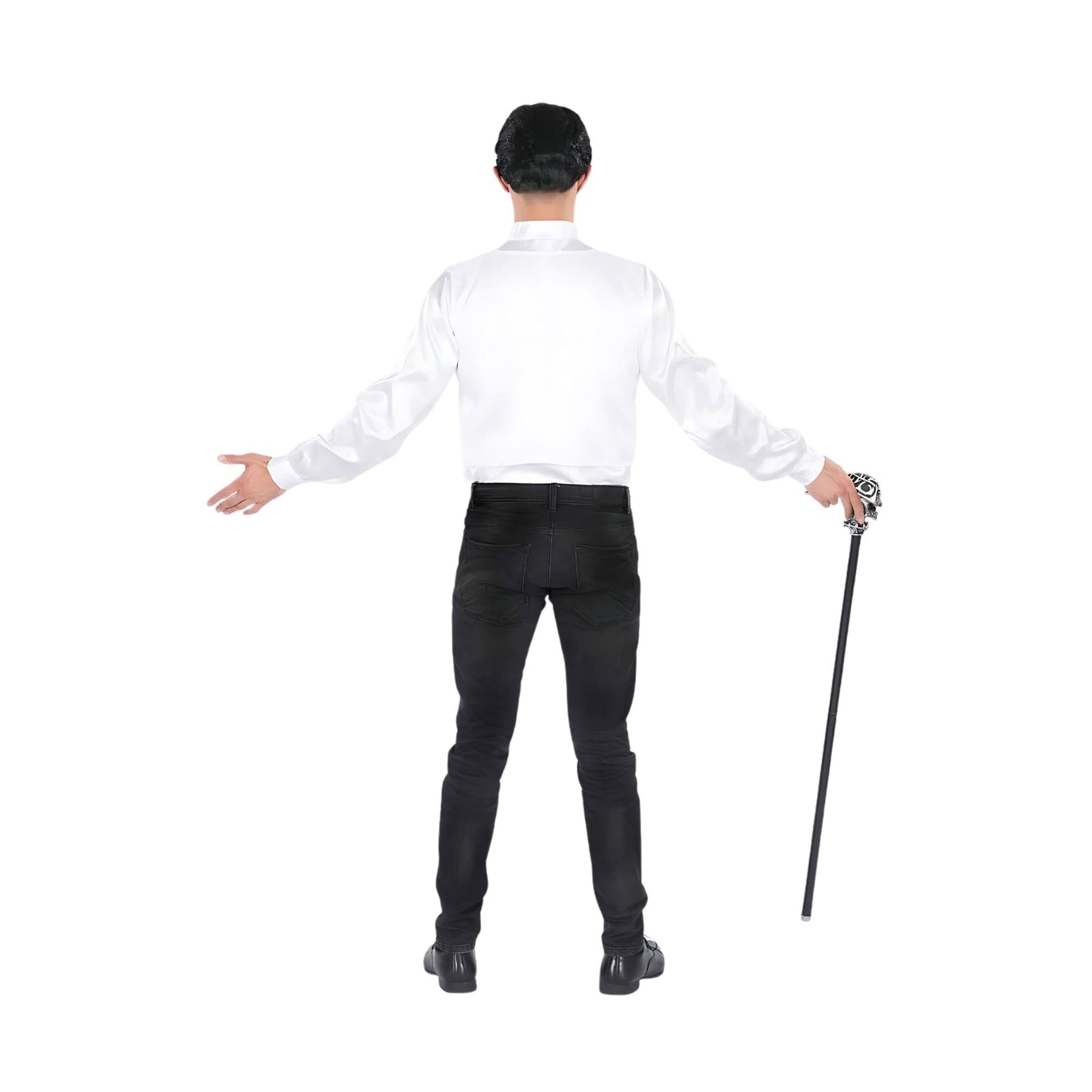 Vampire with Wig Standard Costume Accessory