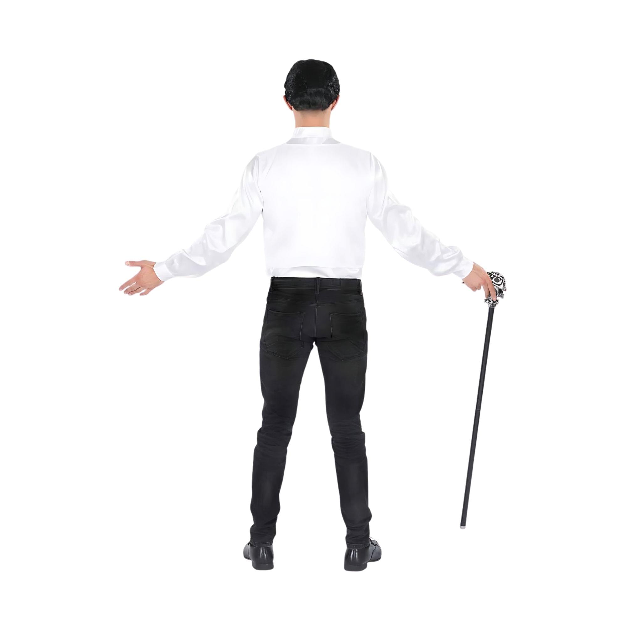 Vampire with Wig Standard Costume Accessory