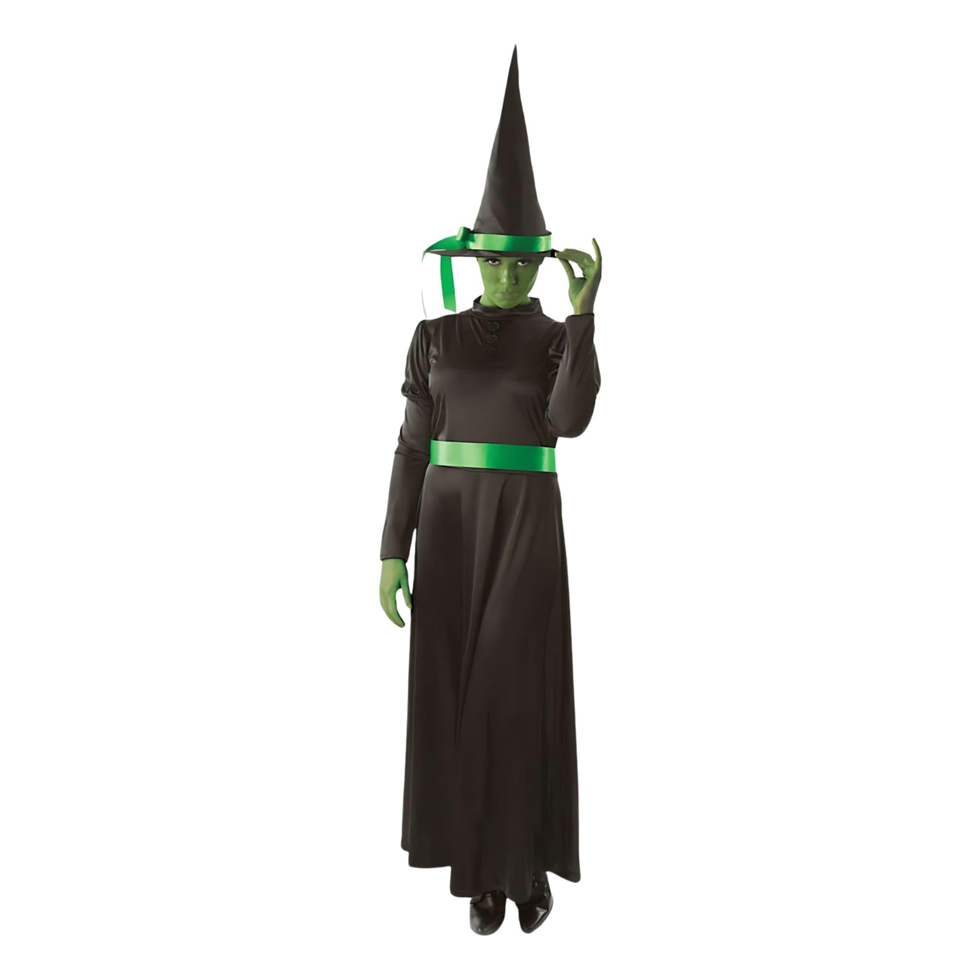 Wicked Witch Adult Costume