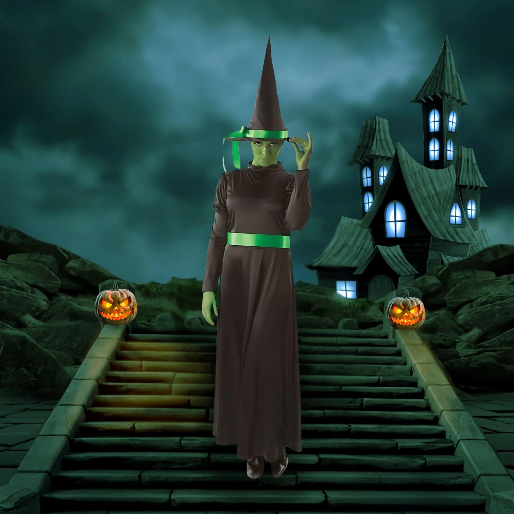 Wicked Witch Adult Costume