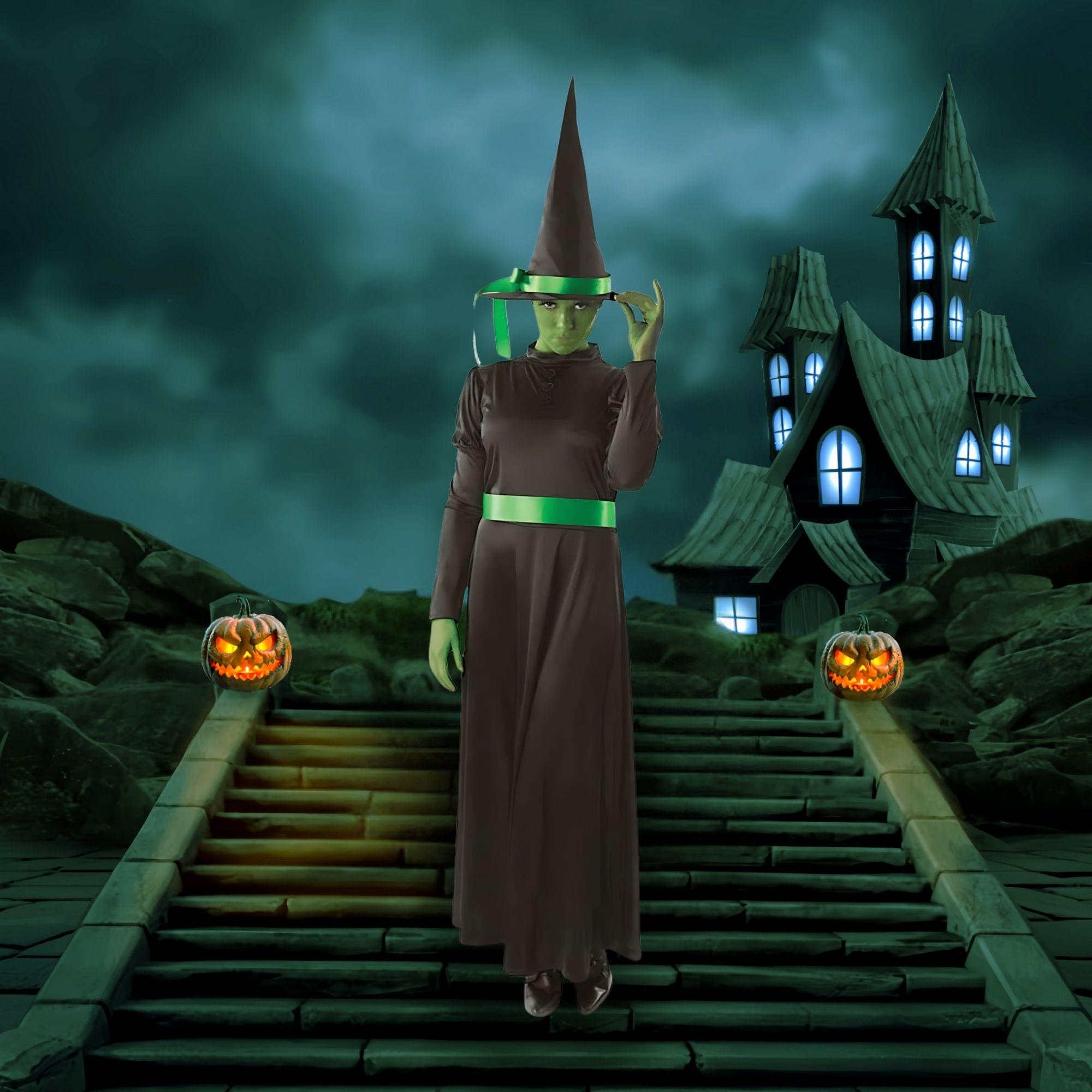 Wicked Witch Adult Costume