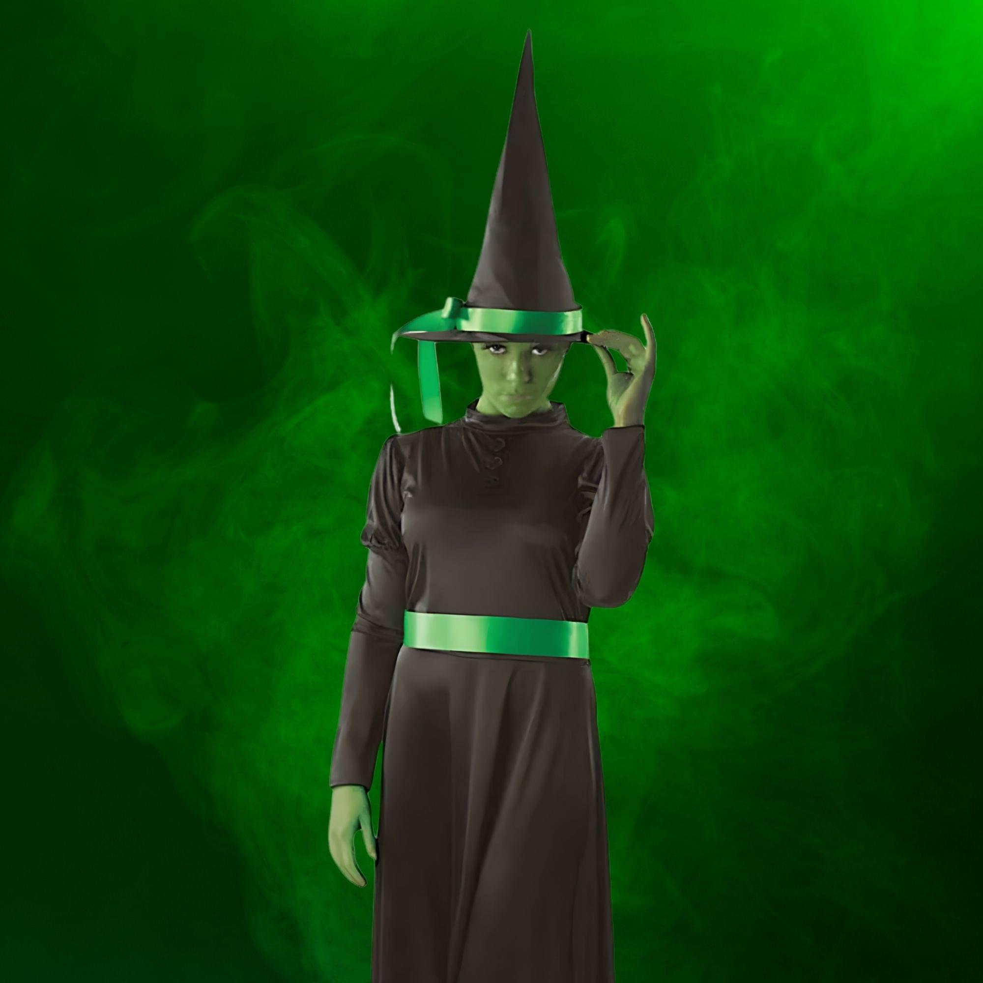 Wicked Witch Adult Costume