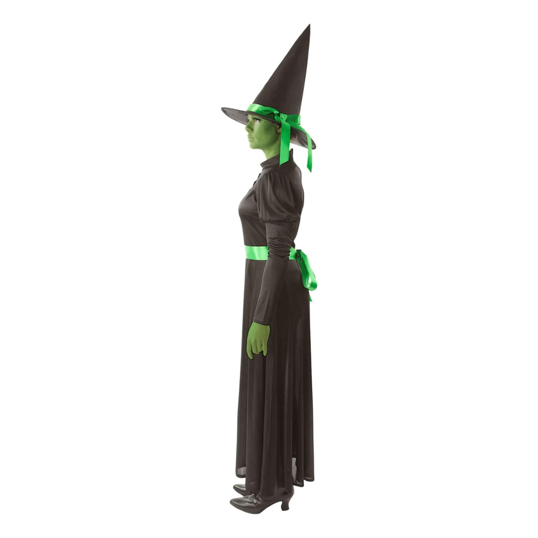 Wicked Witch Adult Costume