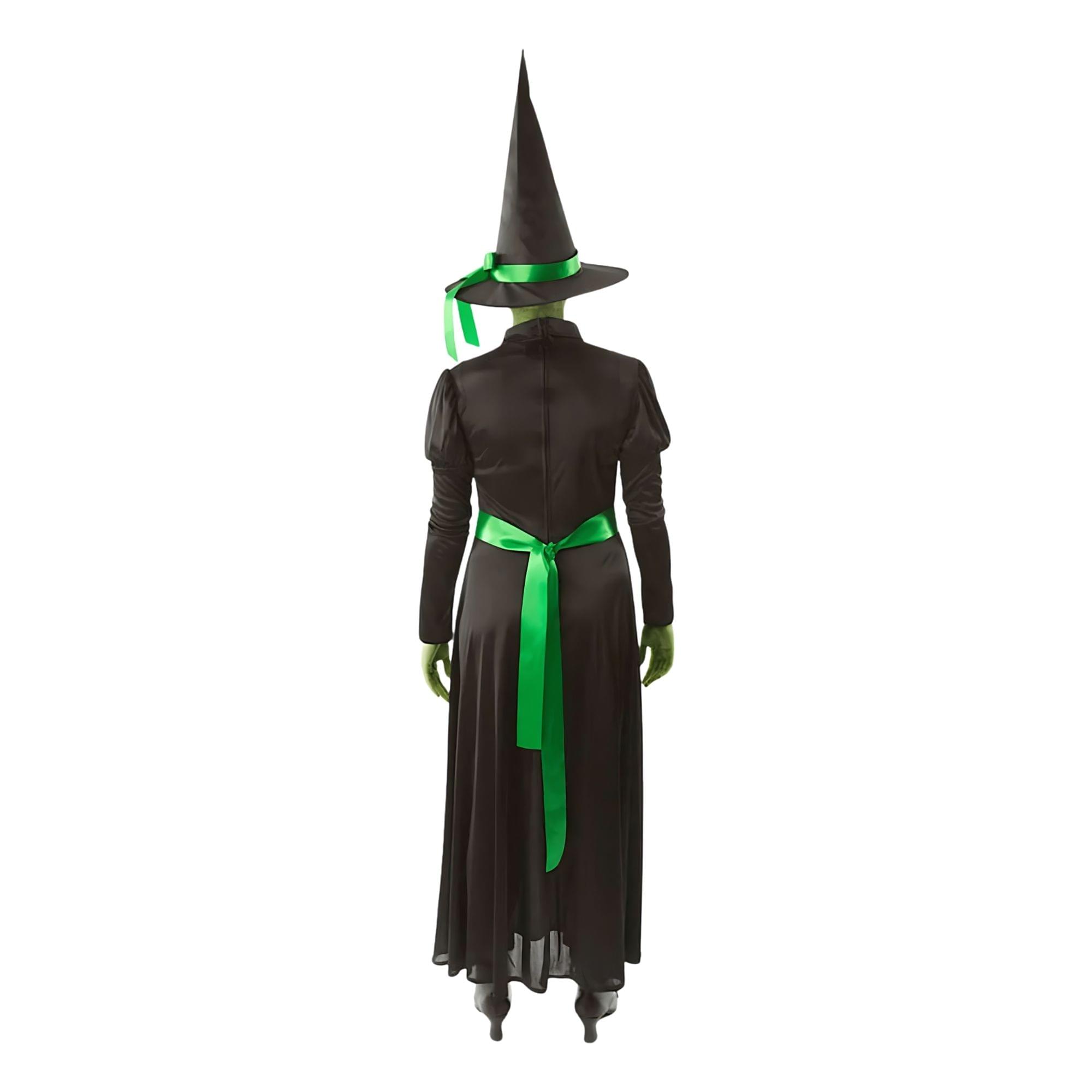 Wicked Witch Adult Costume