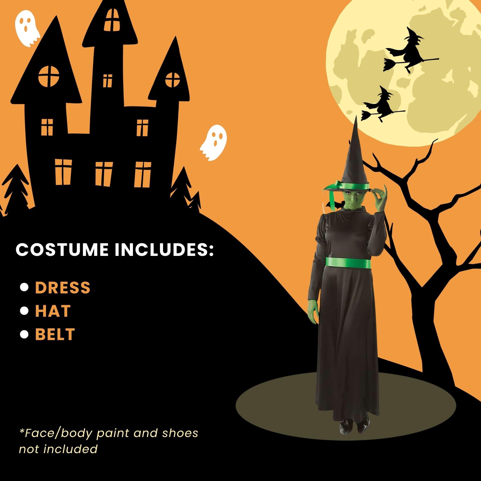 Wicked Witch Adult Costume