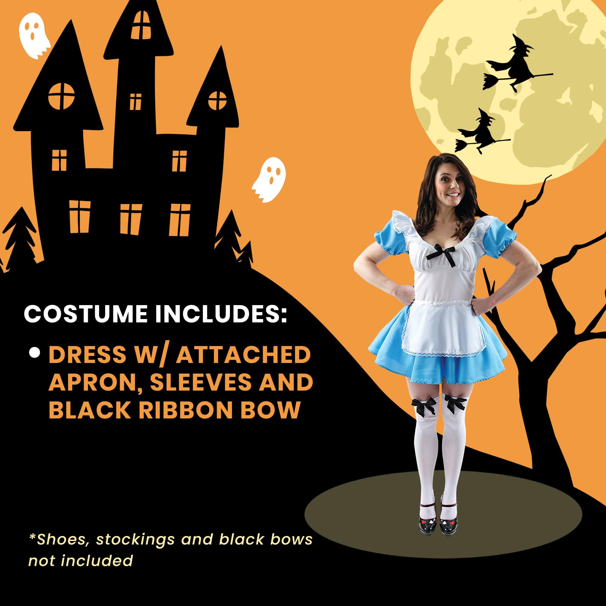 Traditional Alice Adult Costume