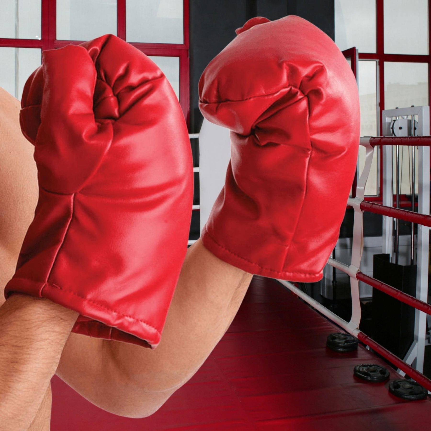 Boxing Gloves Costume Accessory