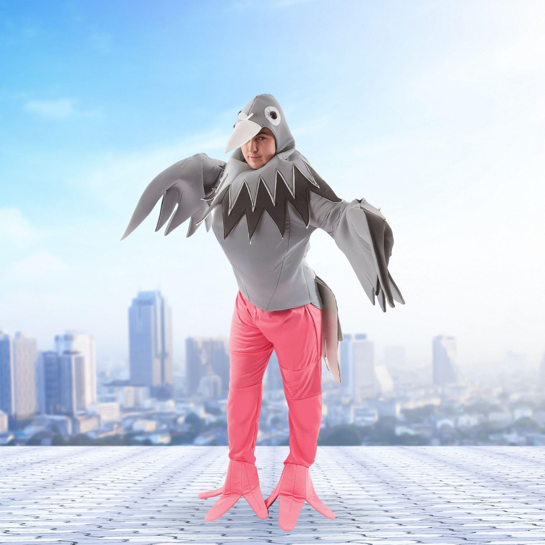 Pigeon Adult Costume