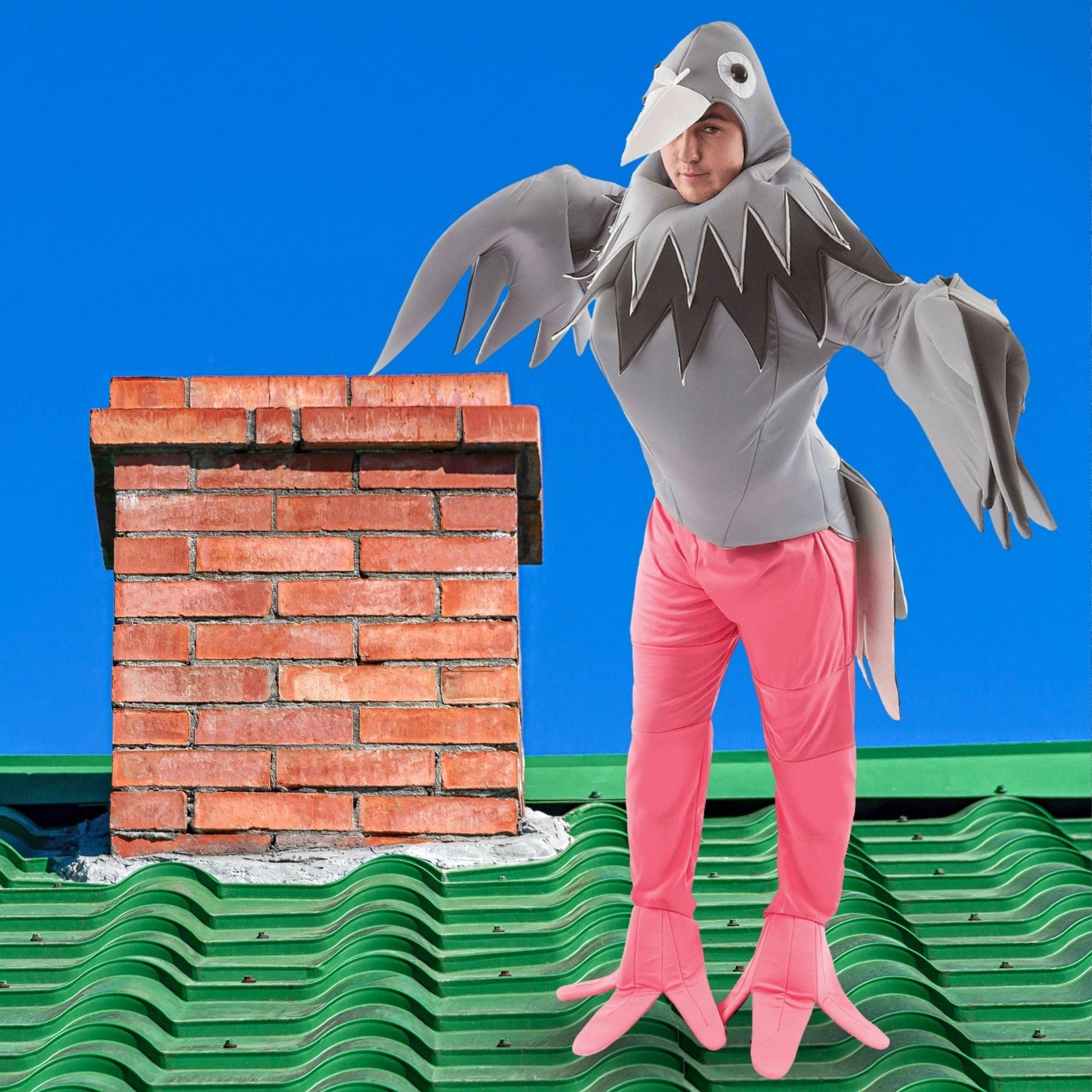 Pigeon Adult Costume