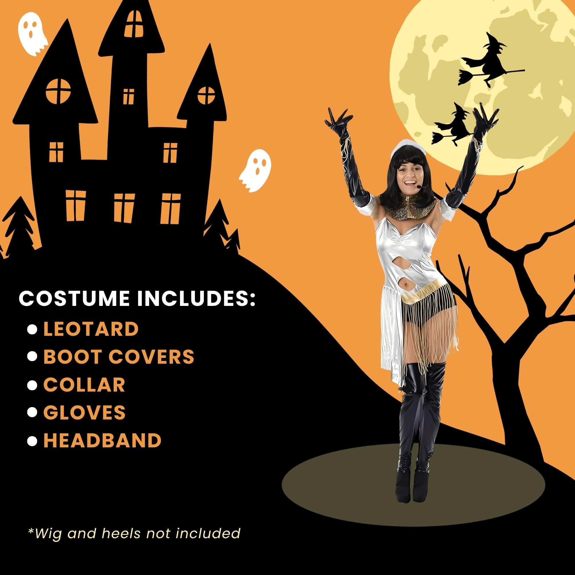 Diva of the Night Adult Costume