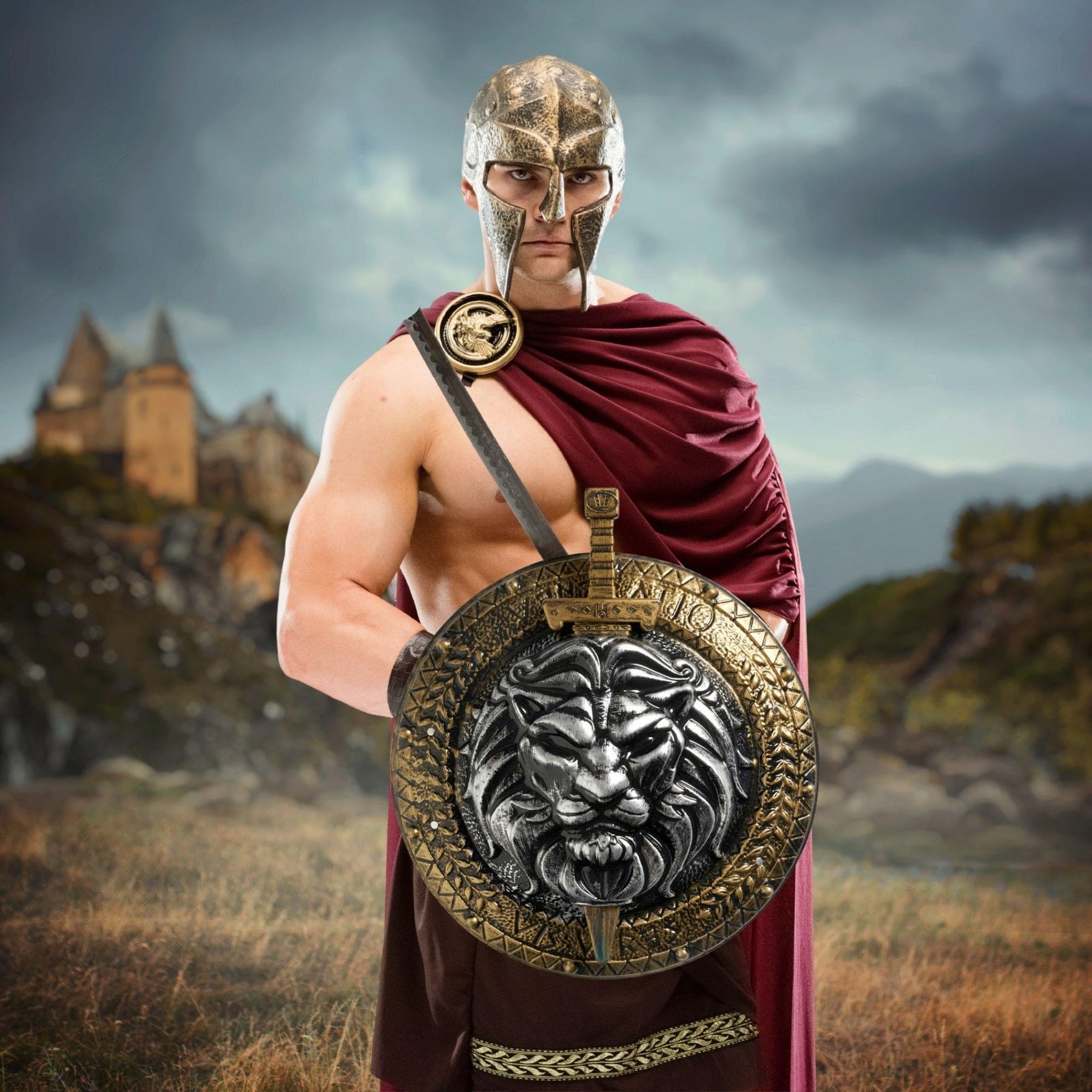 Gladiator Shield & Sword () Costume Accessory