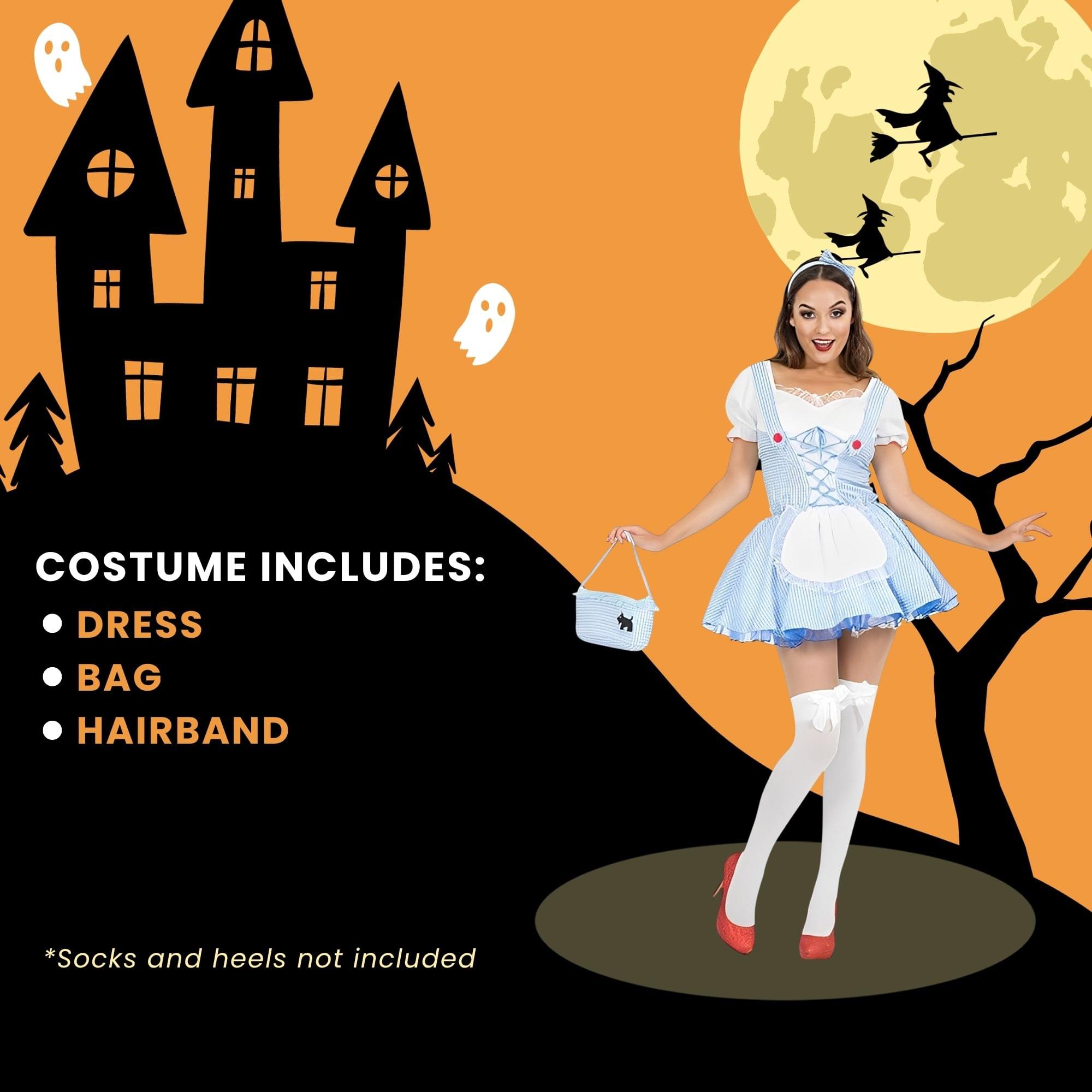 Kansas Farm Girl Adult Costume