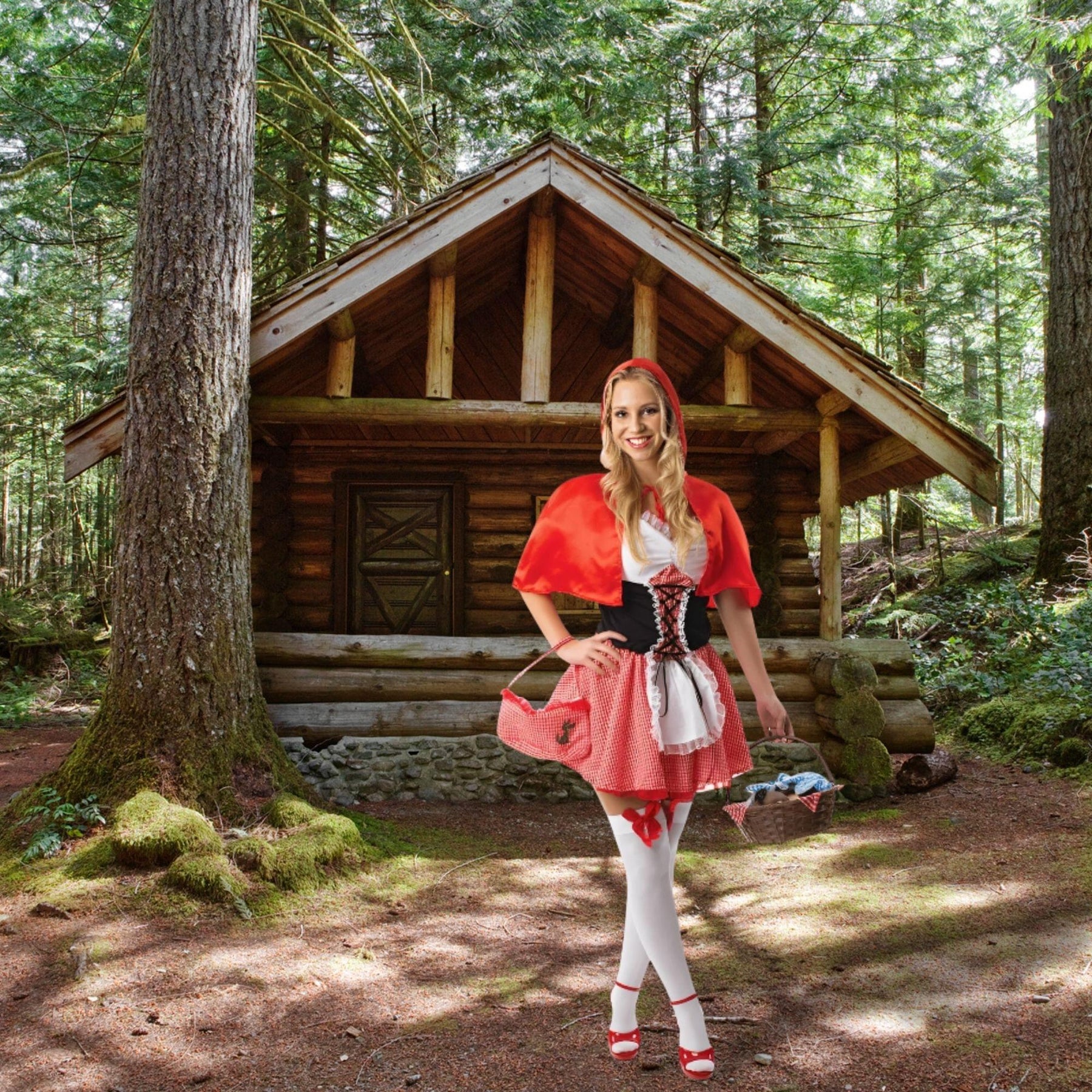 Little Red Riding Hood Dress Adult Costume