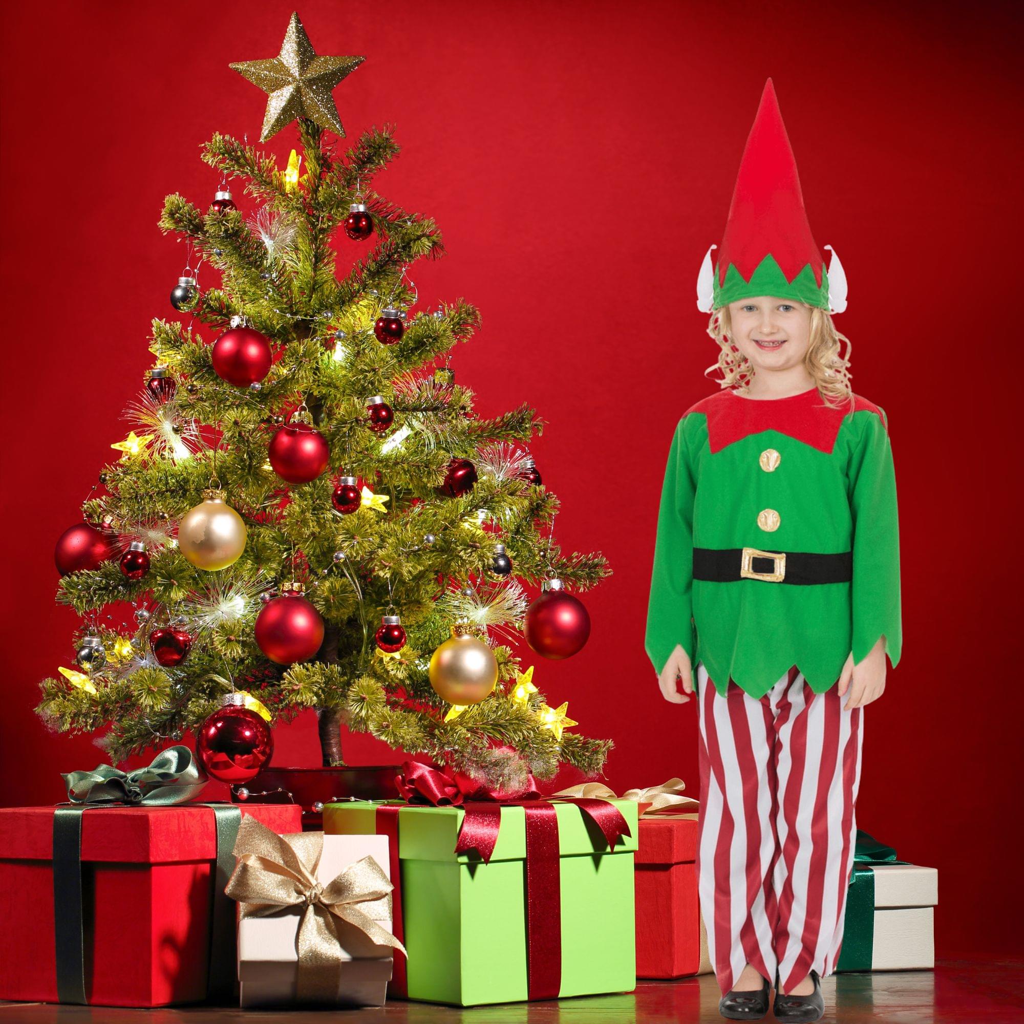 Elf Dress Child Costume