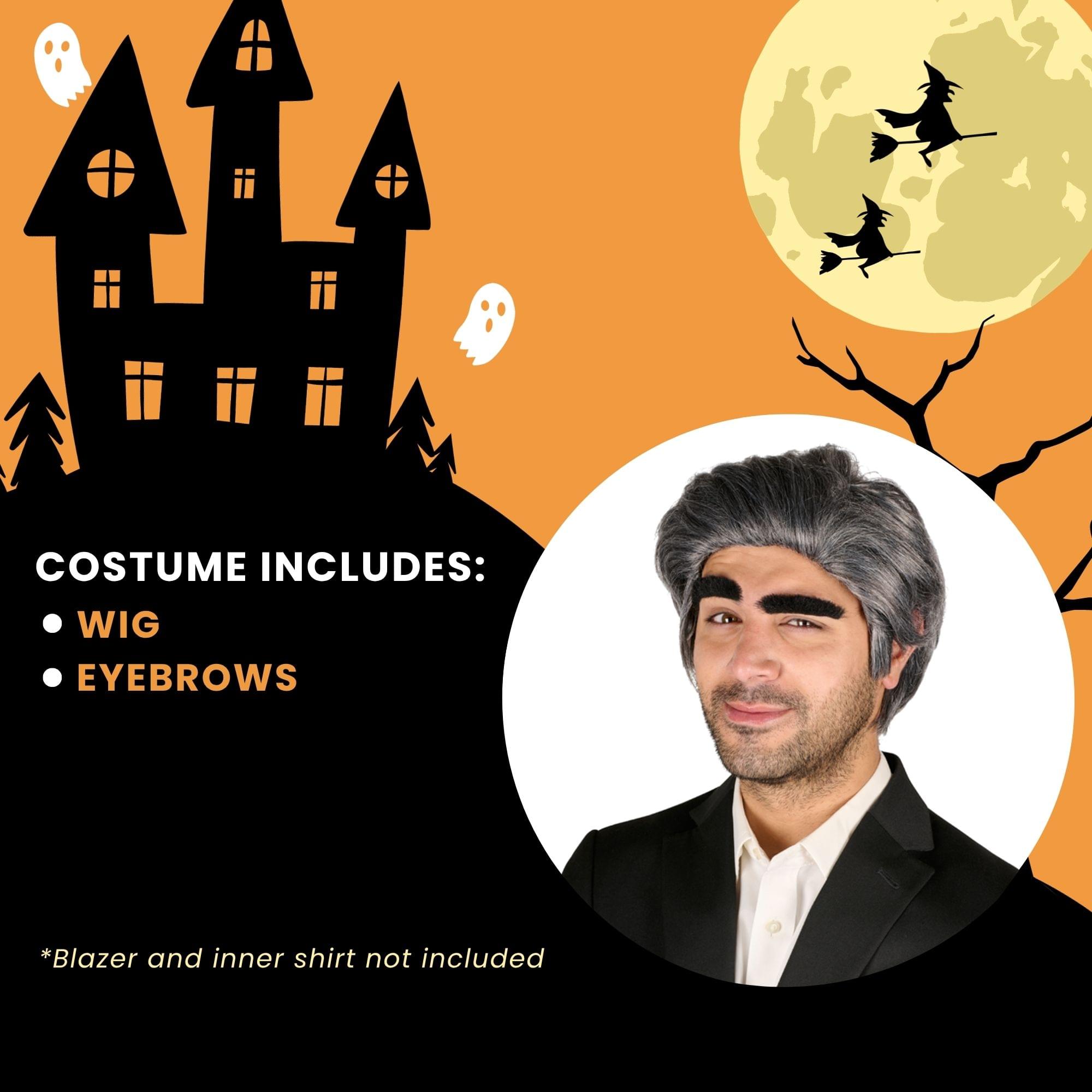 Johnny Wig & Eyebrows Grey Costume Accessory