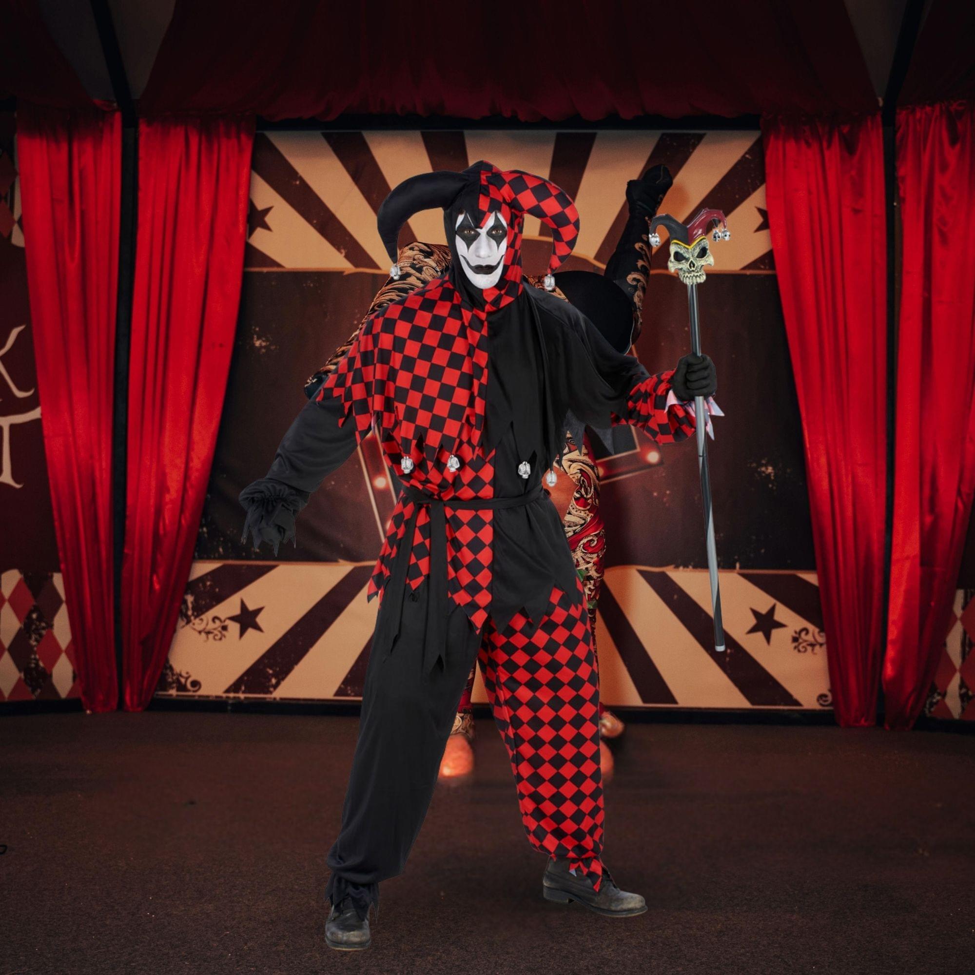 Jester Adult Costume