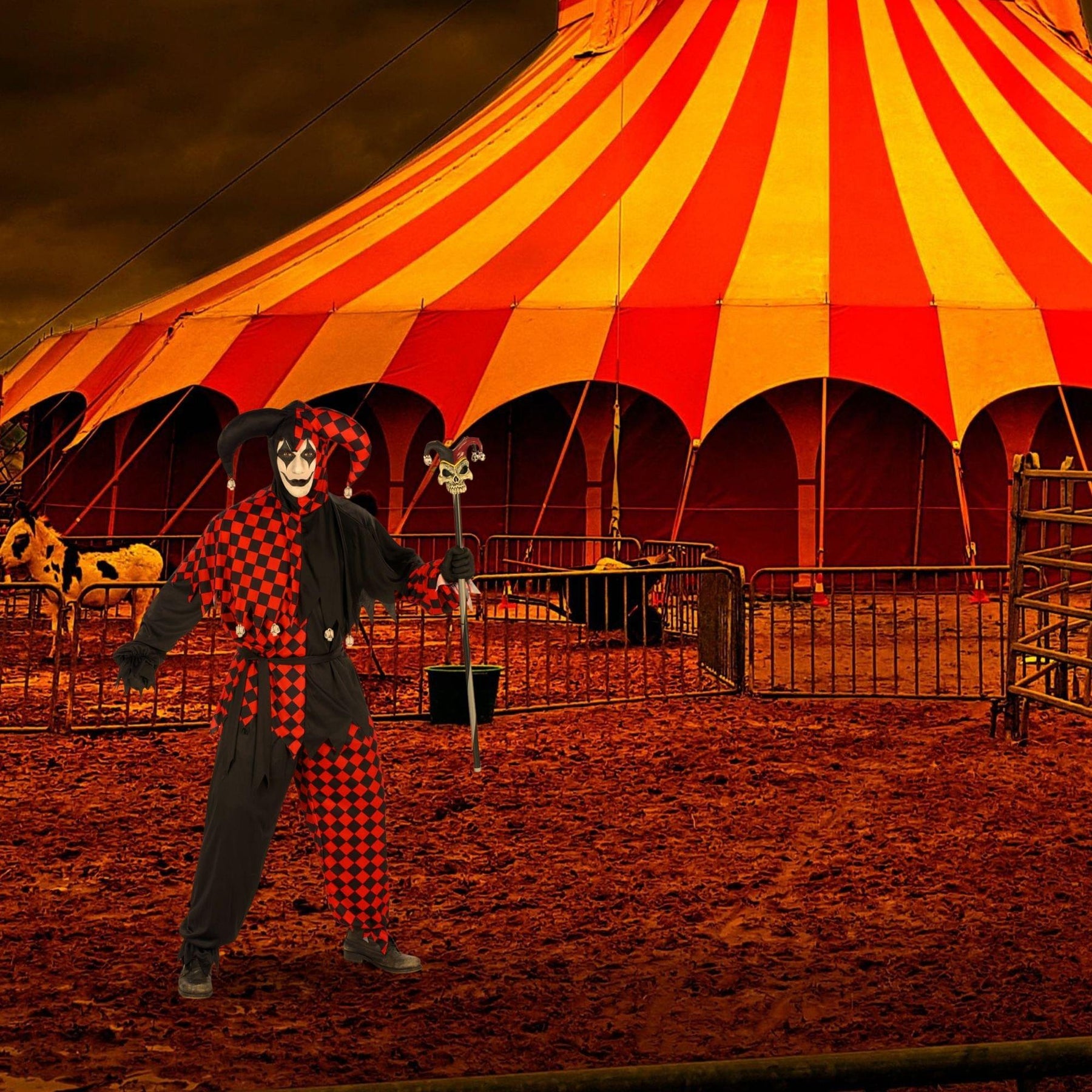 Jester Adult Costume