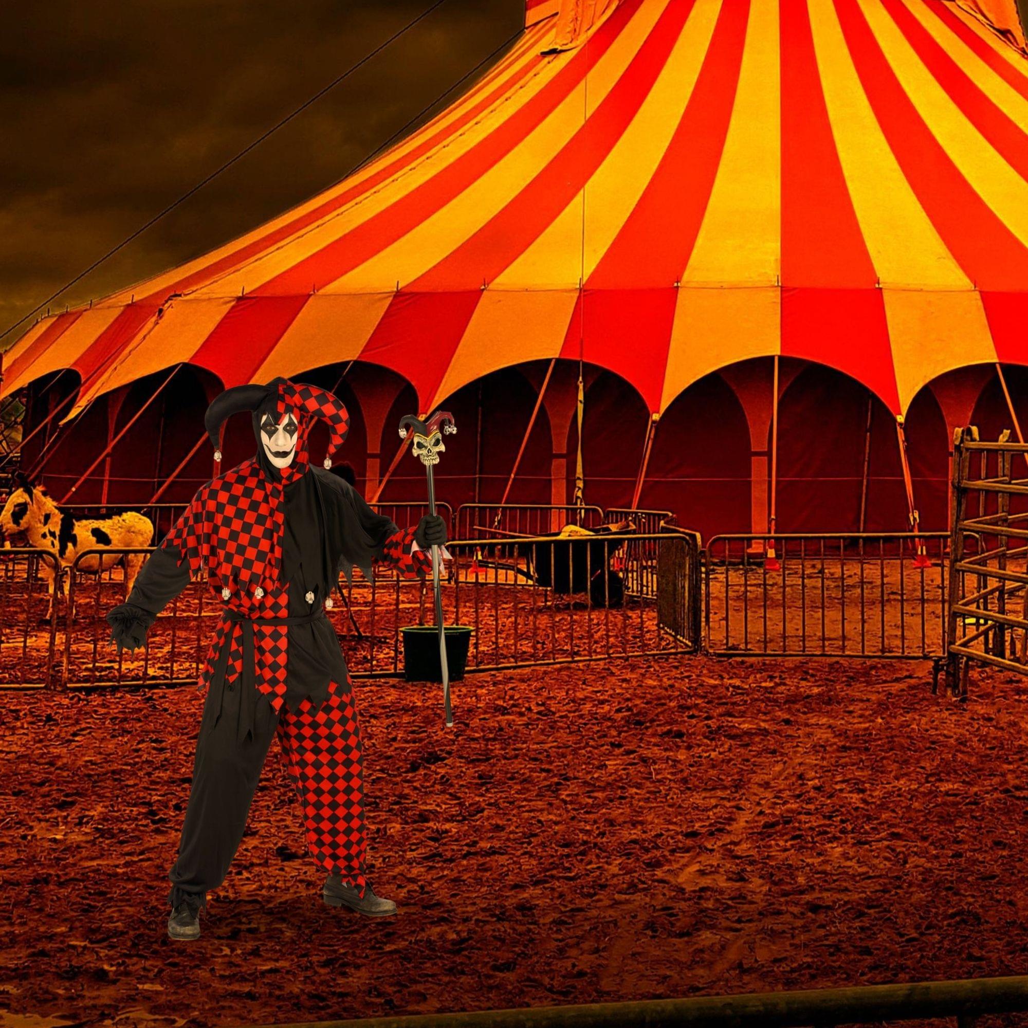 Jester Adult Costume