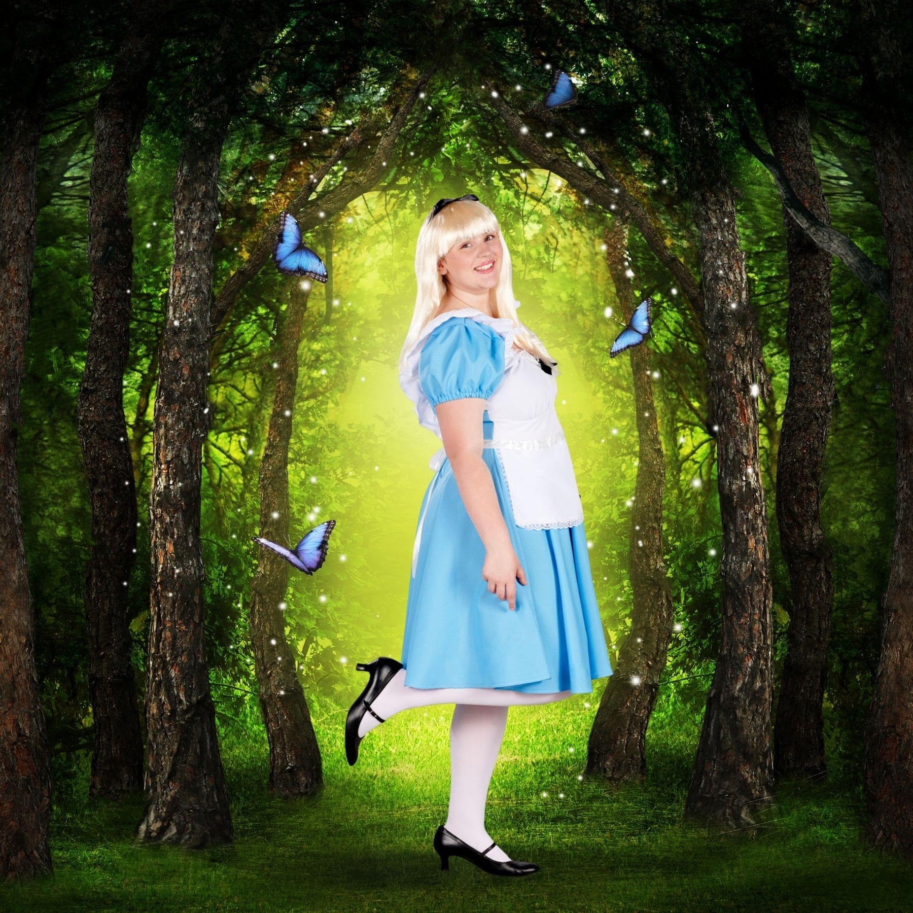 Traditional Alice Adult Costume