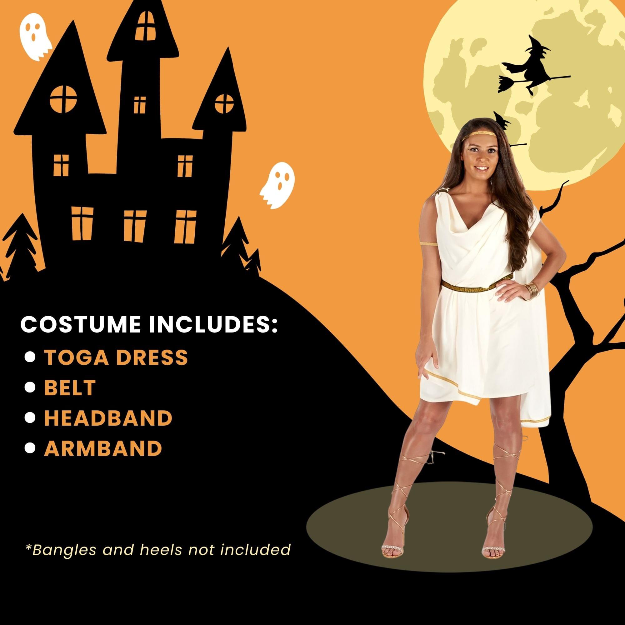 Womens Toga Adult Costume