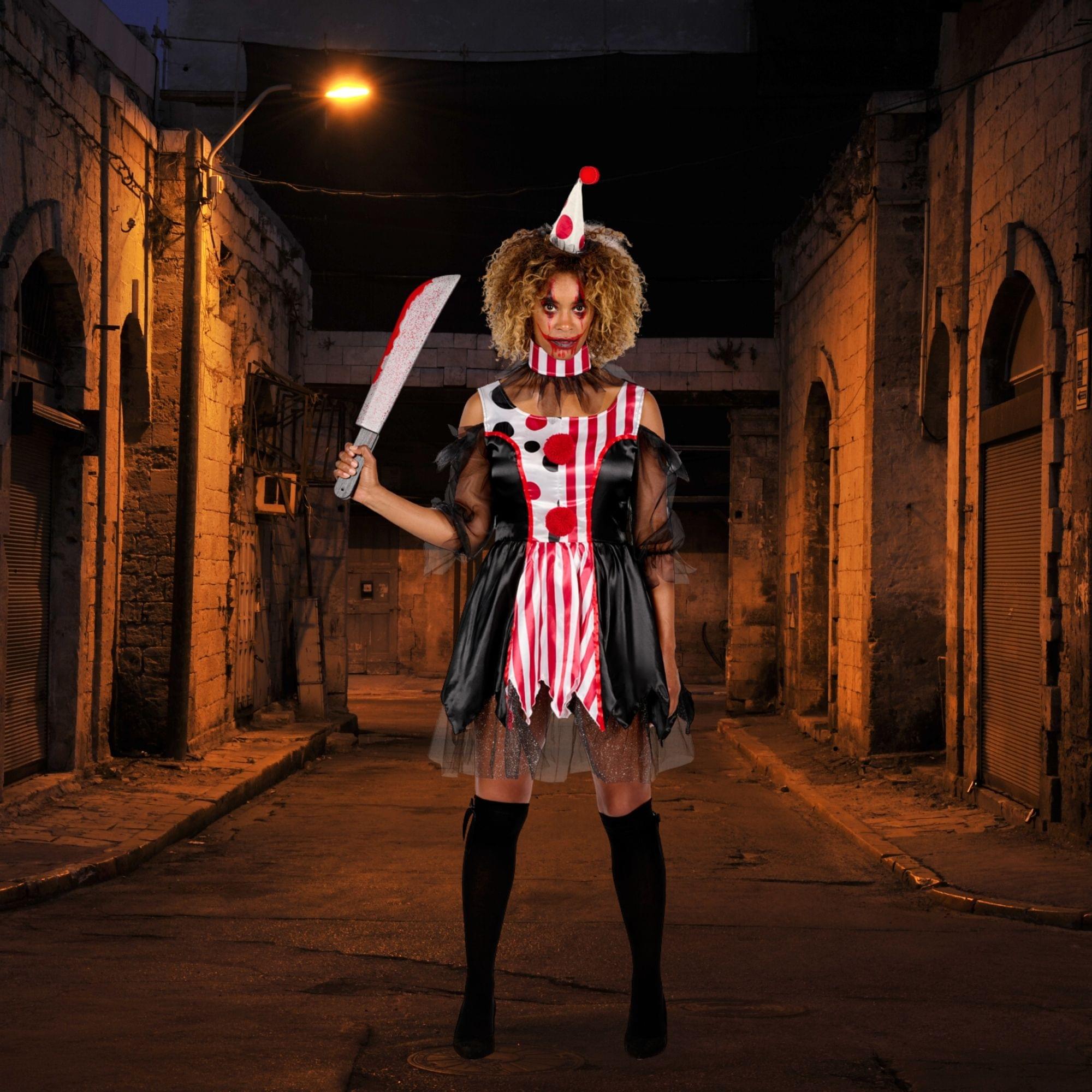 Women Clown Adult Costume