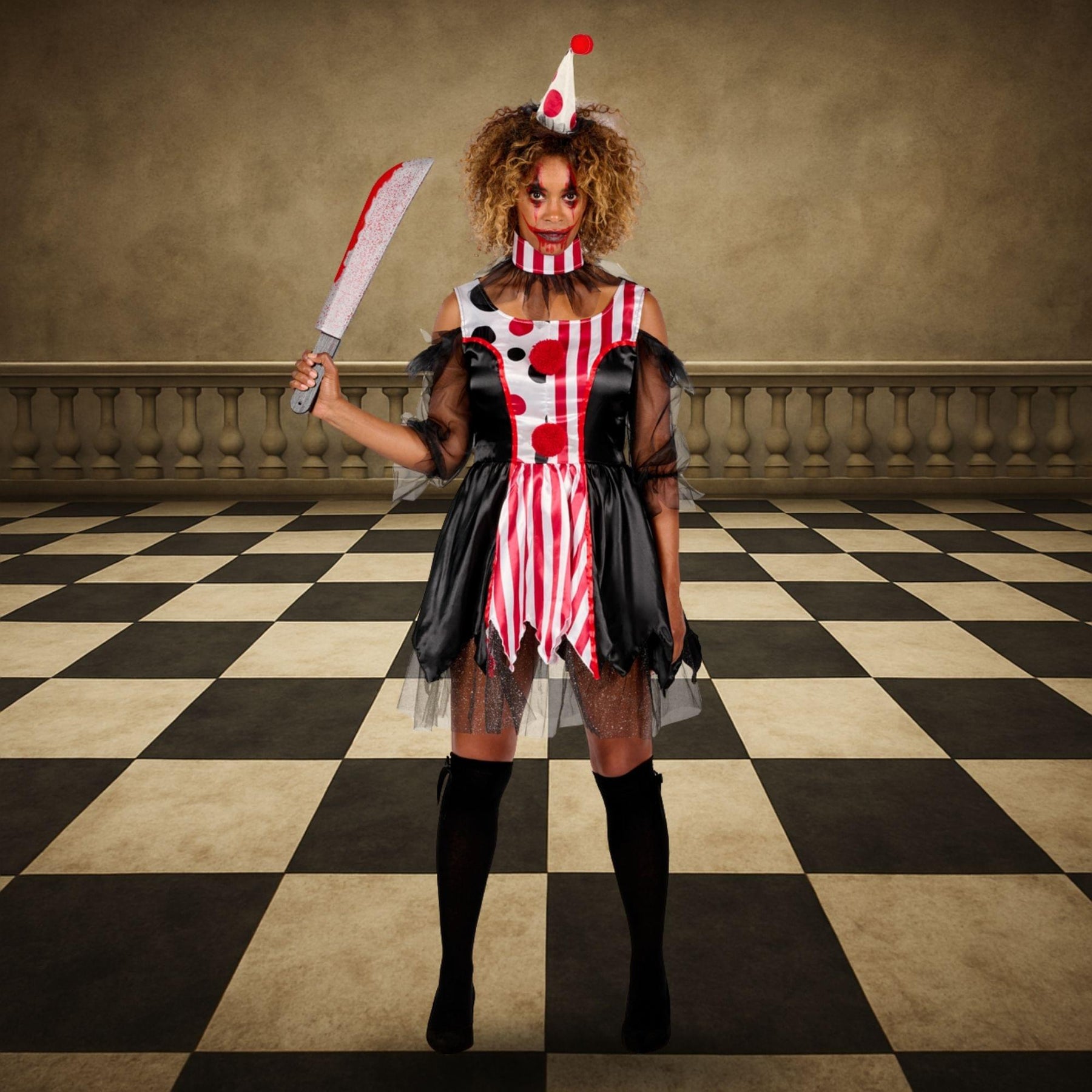 Women Clown Adult Costume