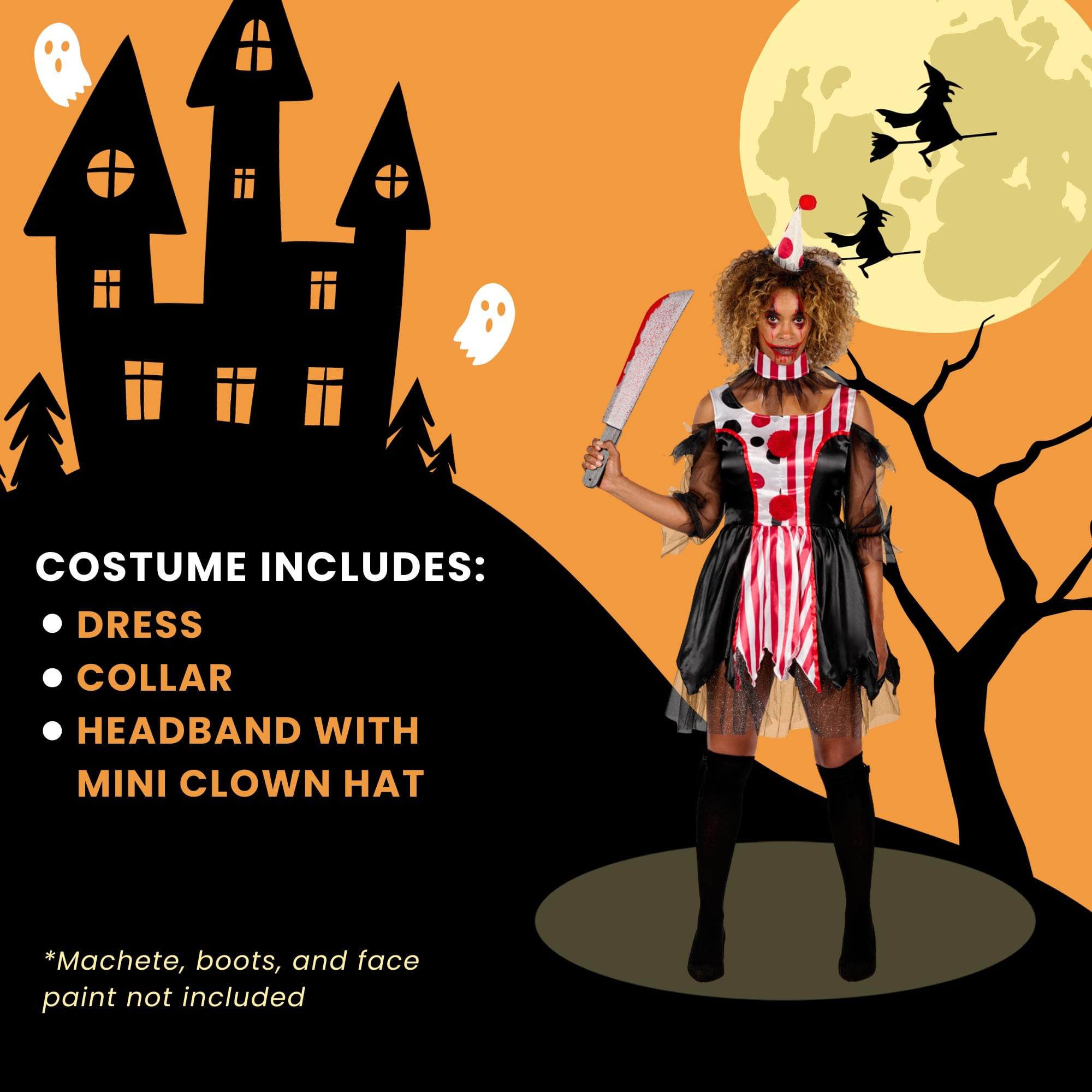 Women Clown Adult Costume