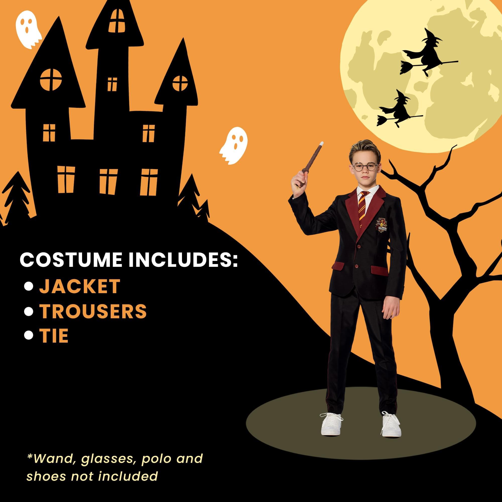 Harry Potter Suitmeister Costume