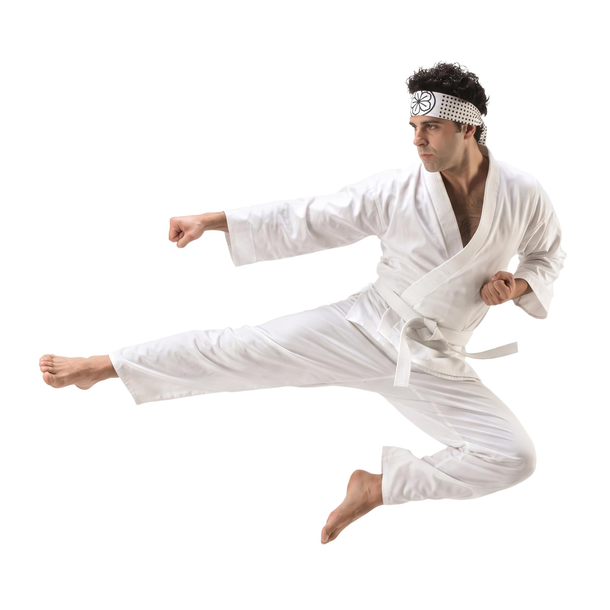 Karate Kid Daniel San Adult Costume | One Size