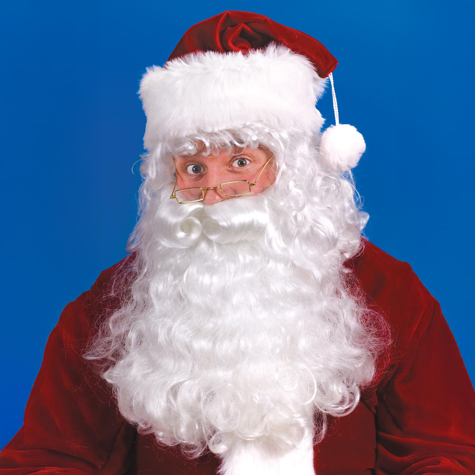 Santa Beard and Wig Adult Costume Accessory