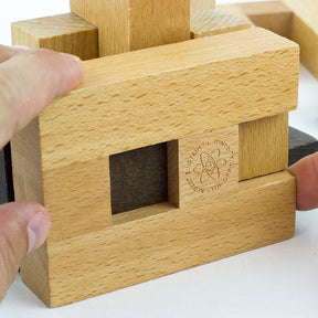 The Einstein Collection Letter Block Puzzle | 12 Challenges