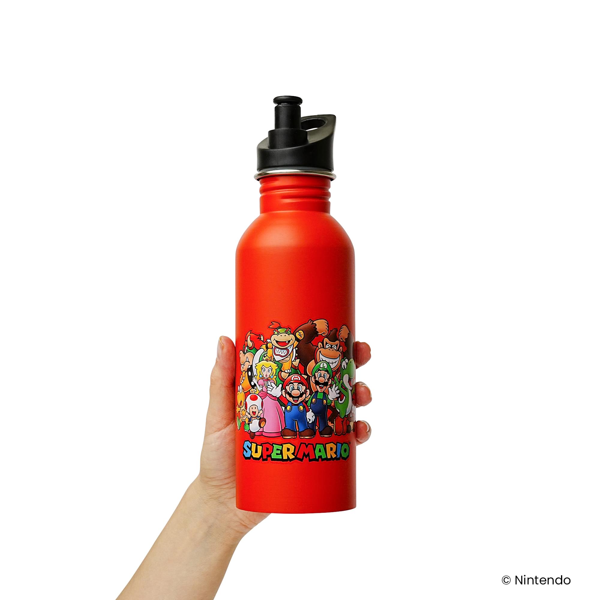 Super Mario Lineup 25 Ounce Metal Canteen Bottle