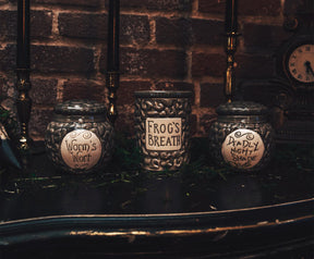Disney The Nightmare Before Christmas Sally's Jar Ceramic Candle | Frog's Breath