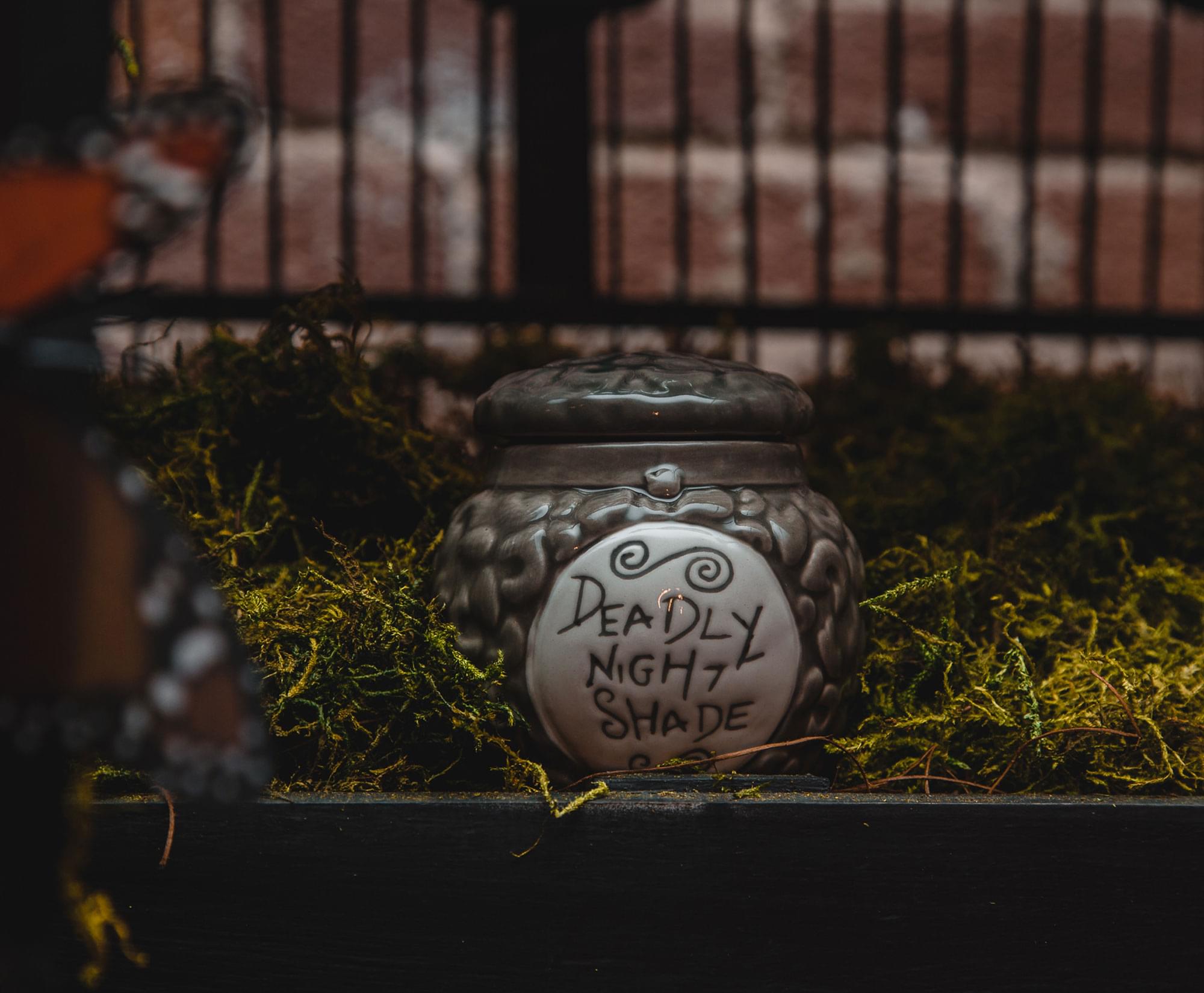 Disney The Nightmare Before Christmas Sally's Jar Candle | Deadly Night Shade