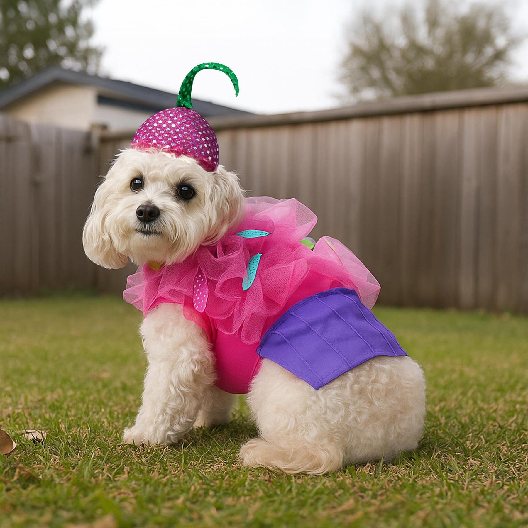 Cupcake Dog Pet Costume