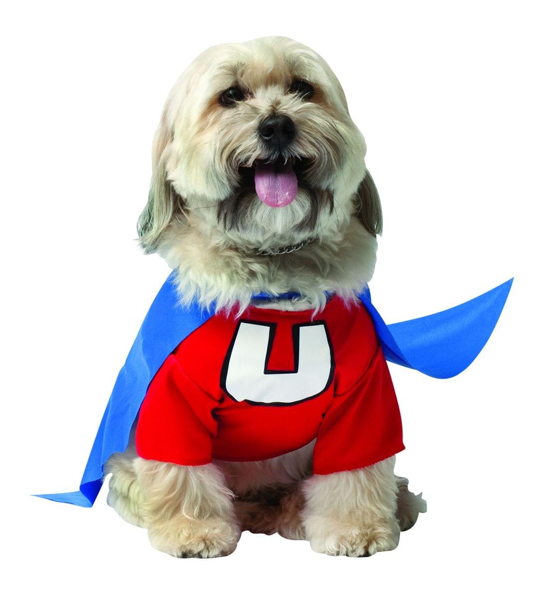 Underdog Pet Costume