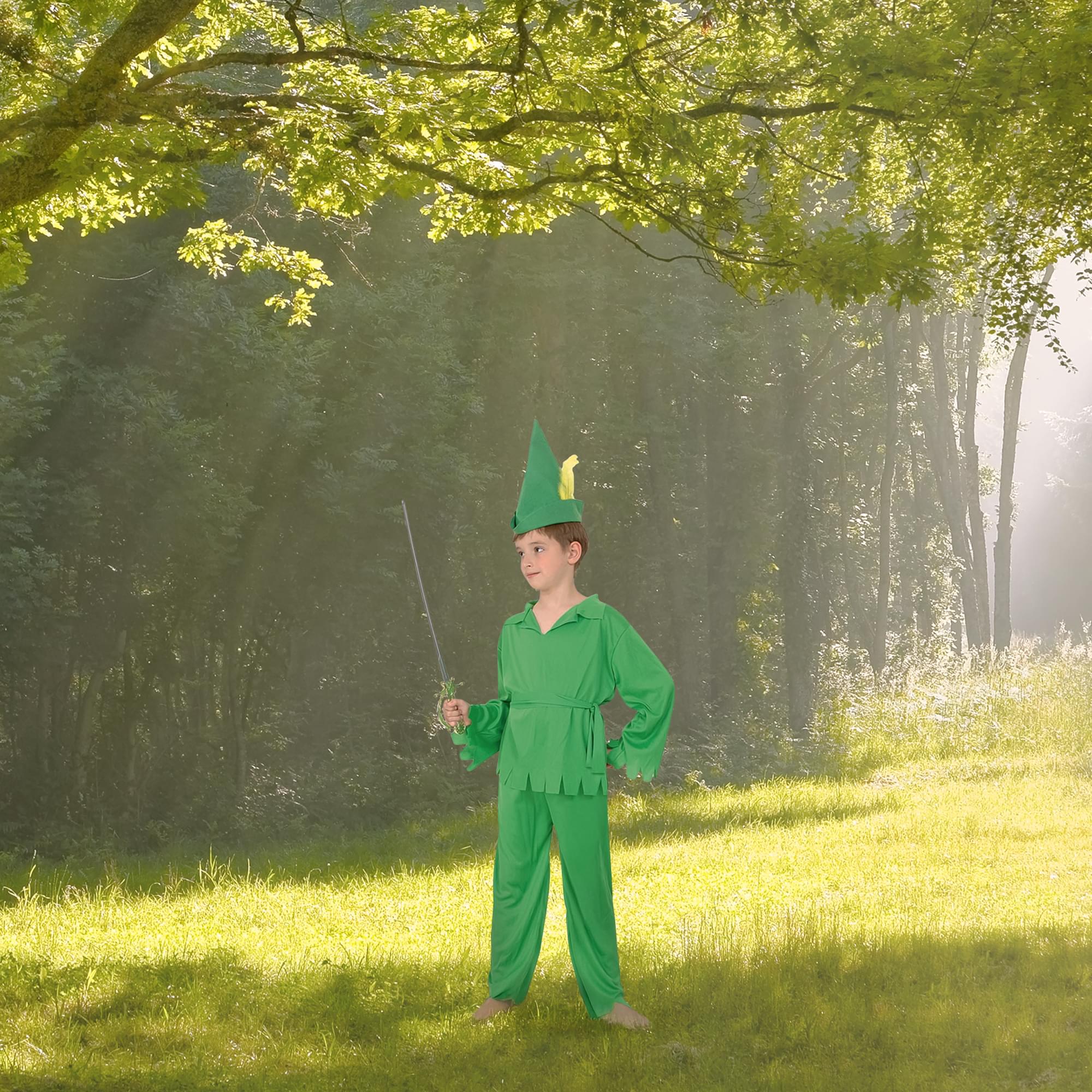 Robin Hood / Peter Pan Child Costume