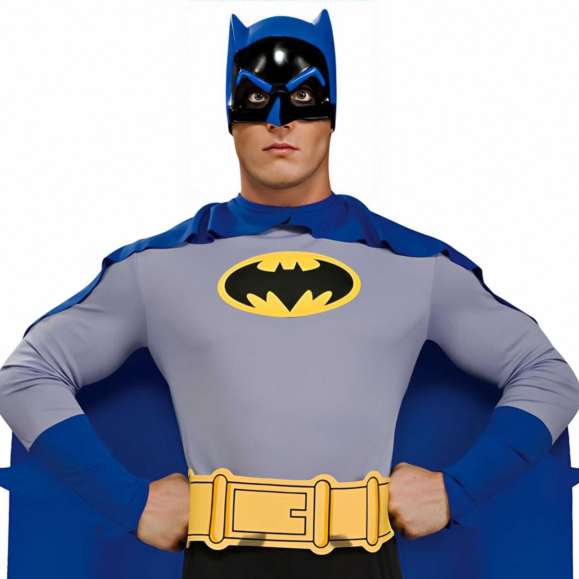 DC Batman Brave and Bold Adult Superhero Costume