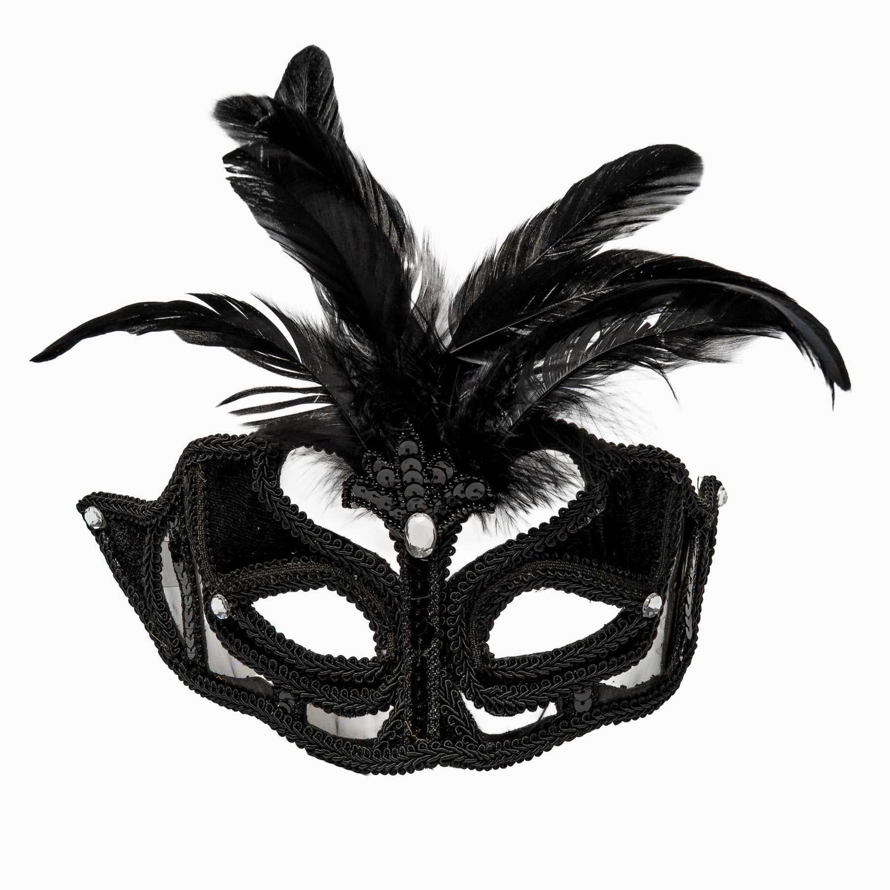Feathered Mask Costume Accessory