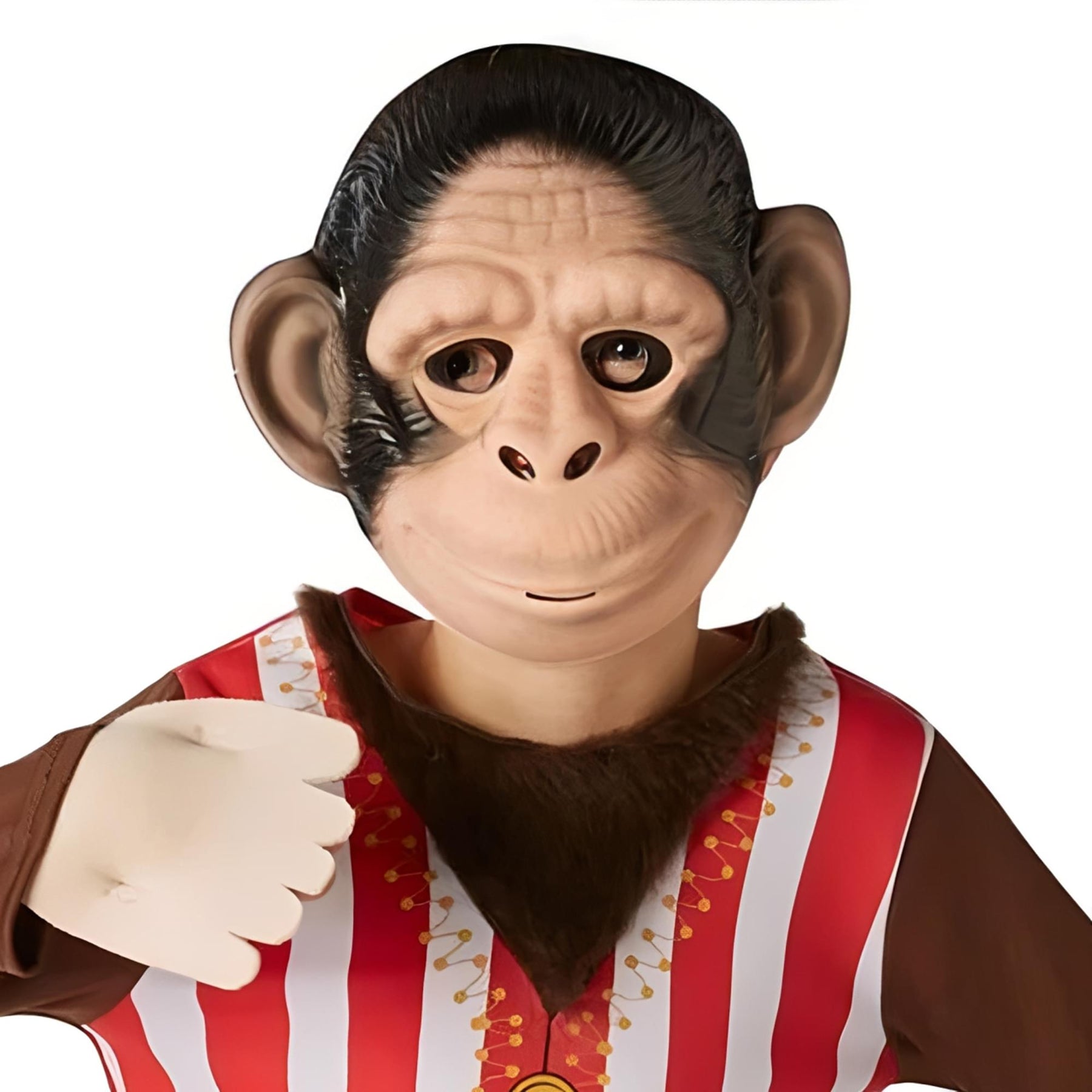 Mr Monkey Child Costume
