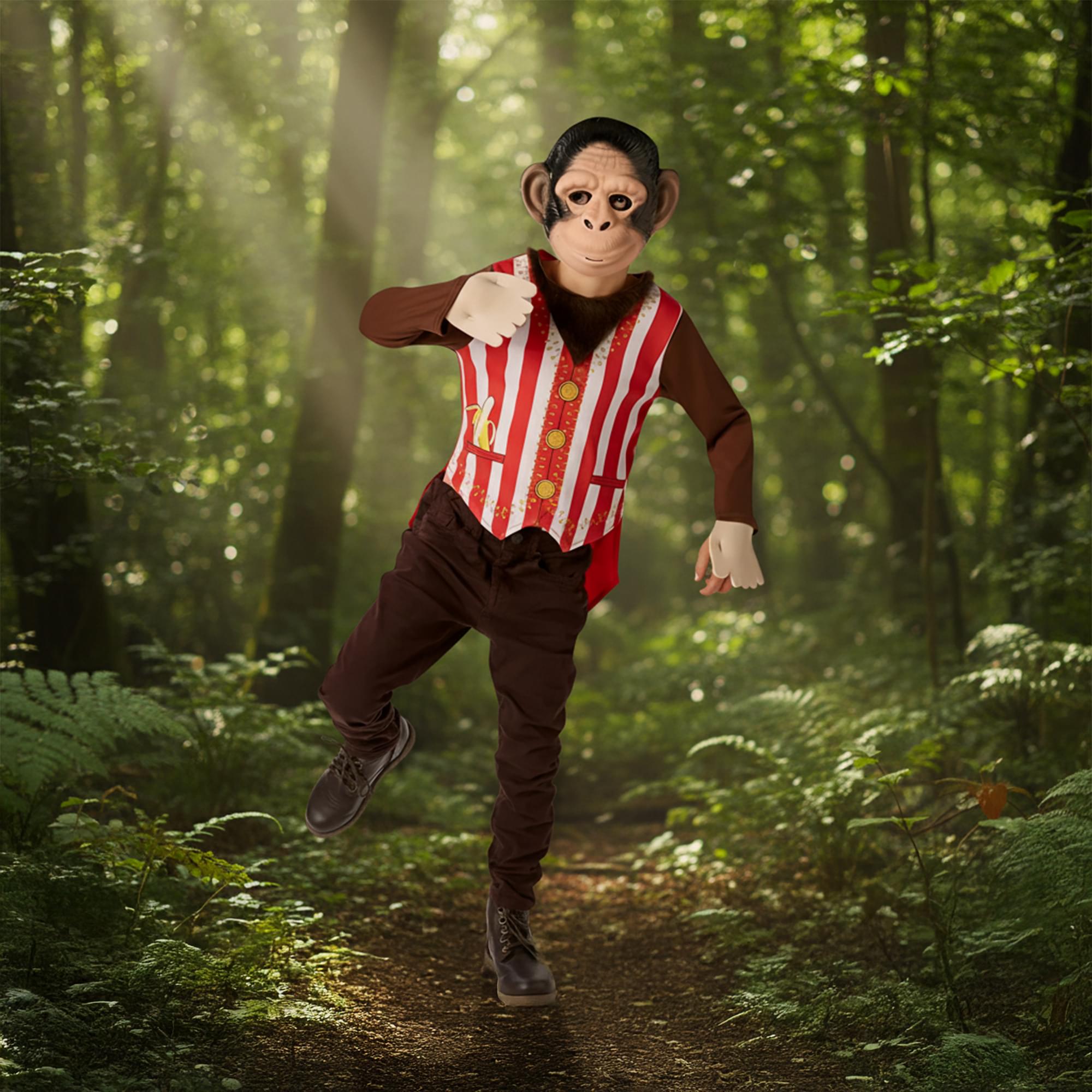 Mr Monkey Child Costume
