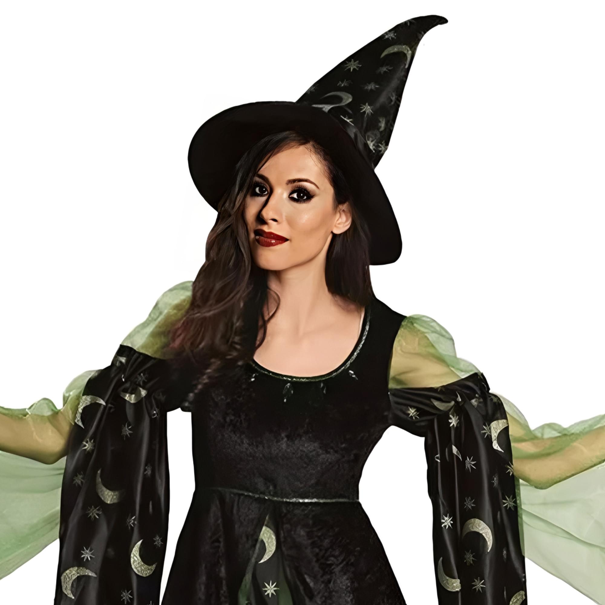 Moonlight Witch Adult Women's Costume