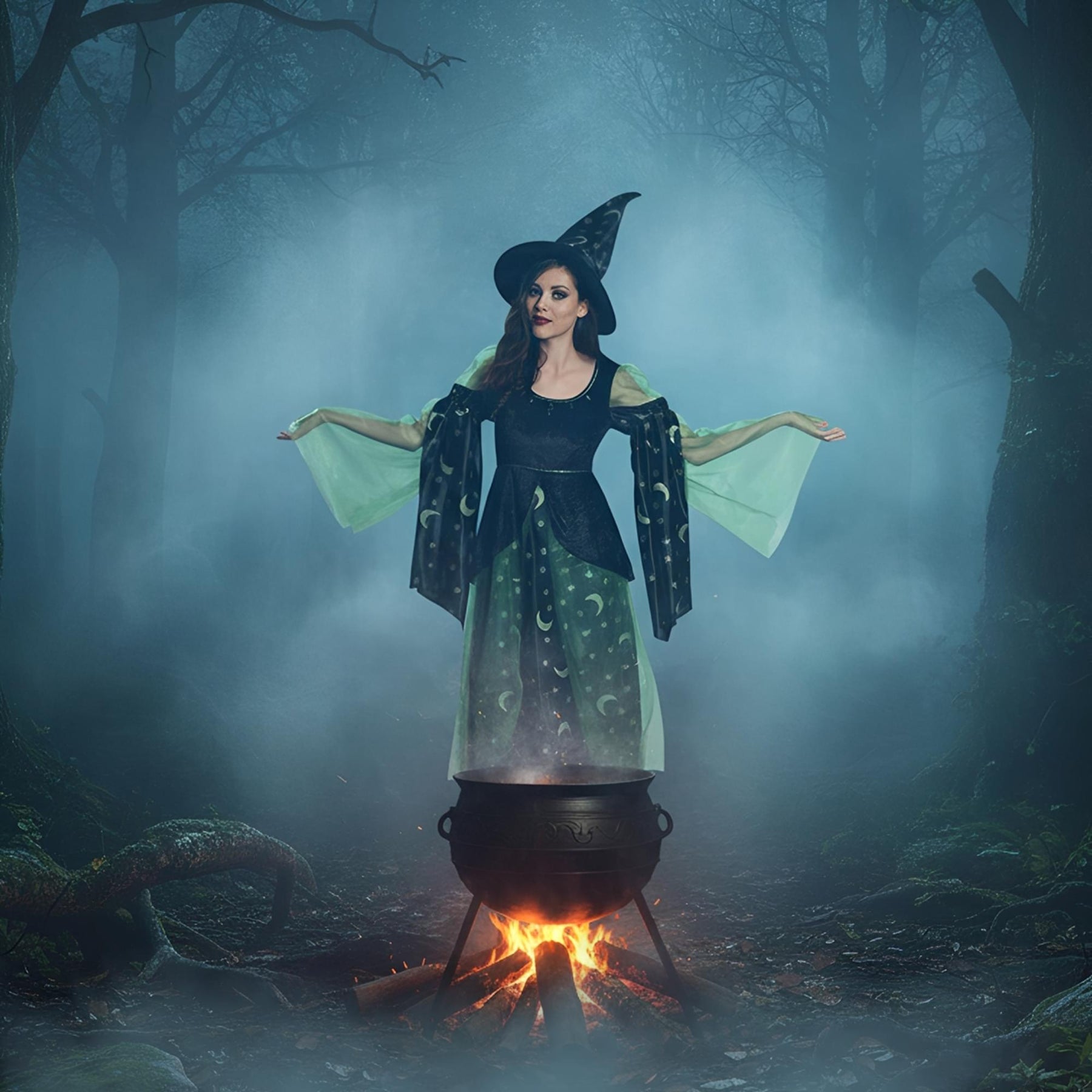 Moonlight Witch Adult Women's Costume